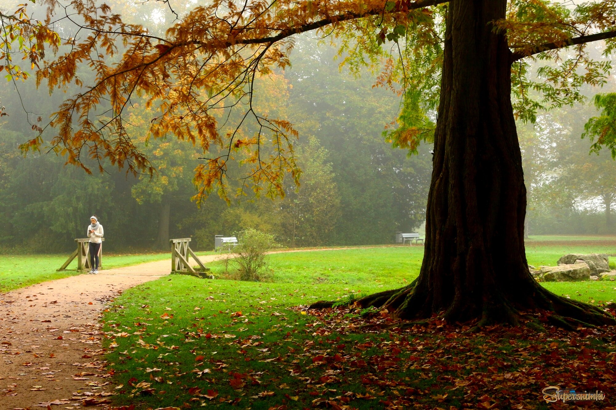 Звонок из осени