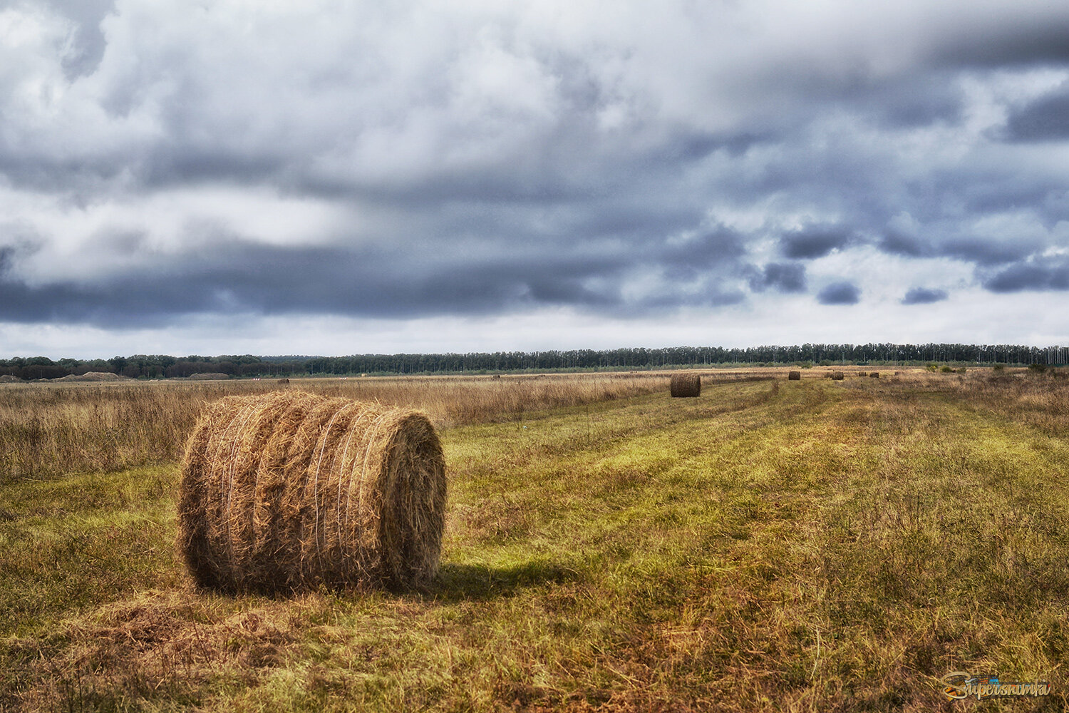 68d56253fcd653f48f34dfdb