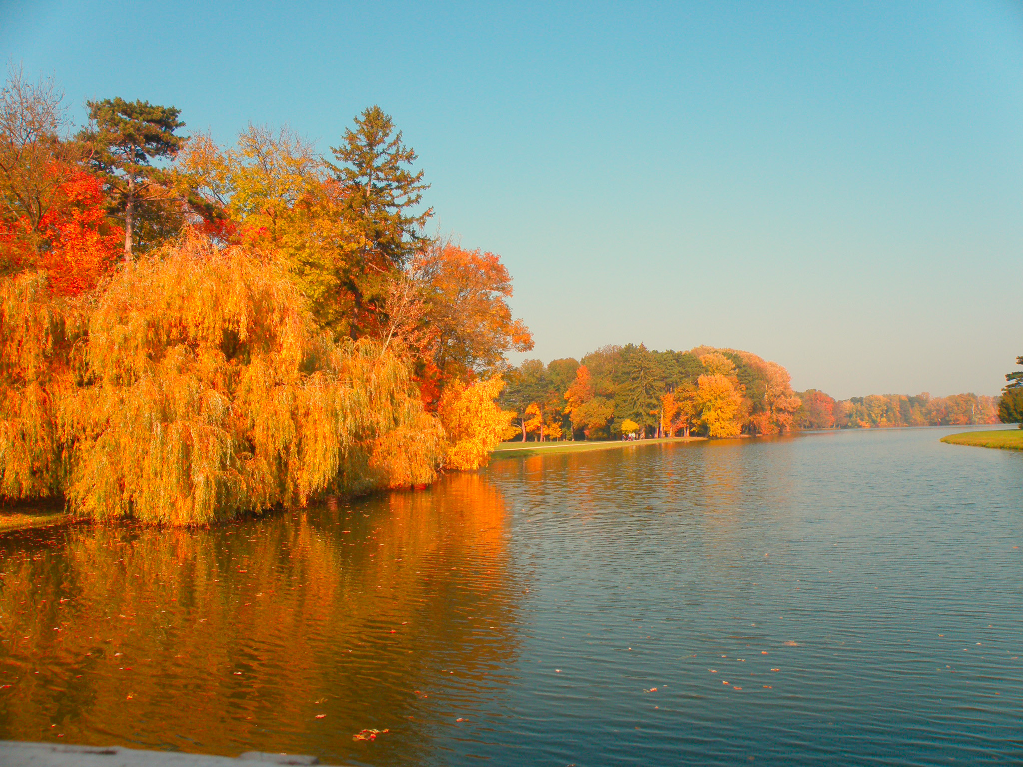 68d4fc118bd36b9cc834dfd9