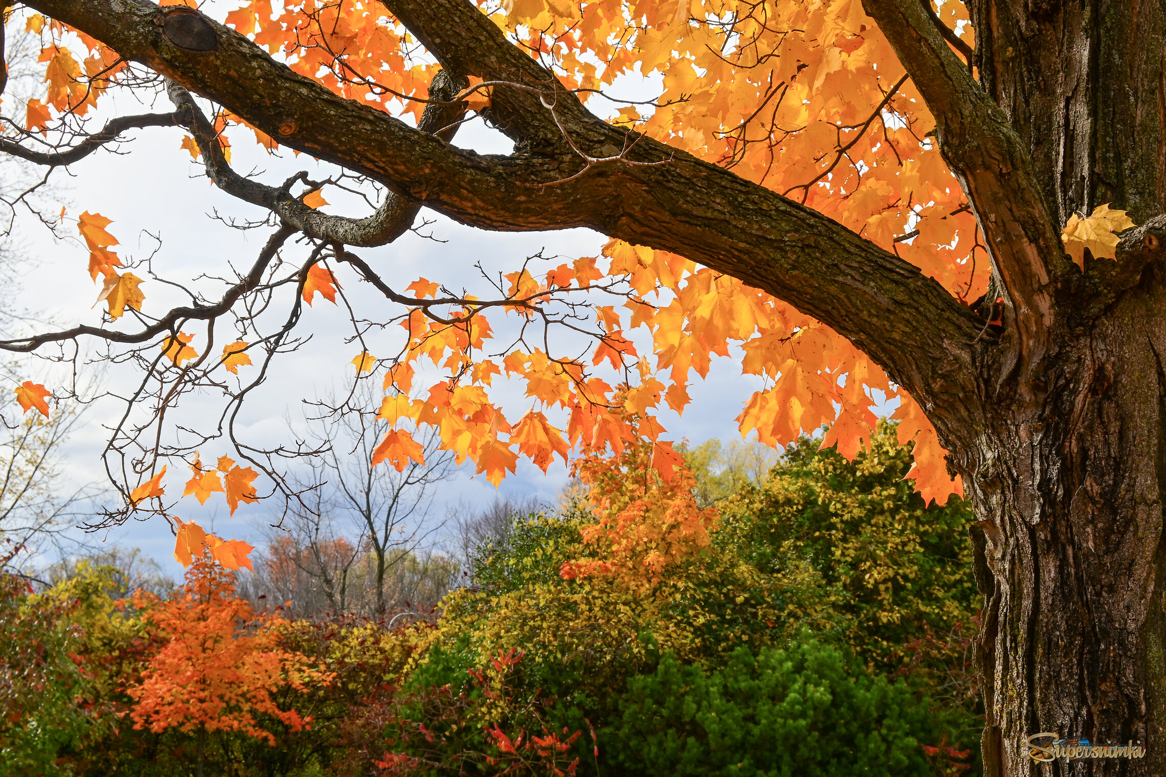 Путешествие листочка