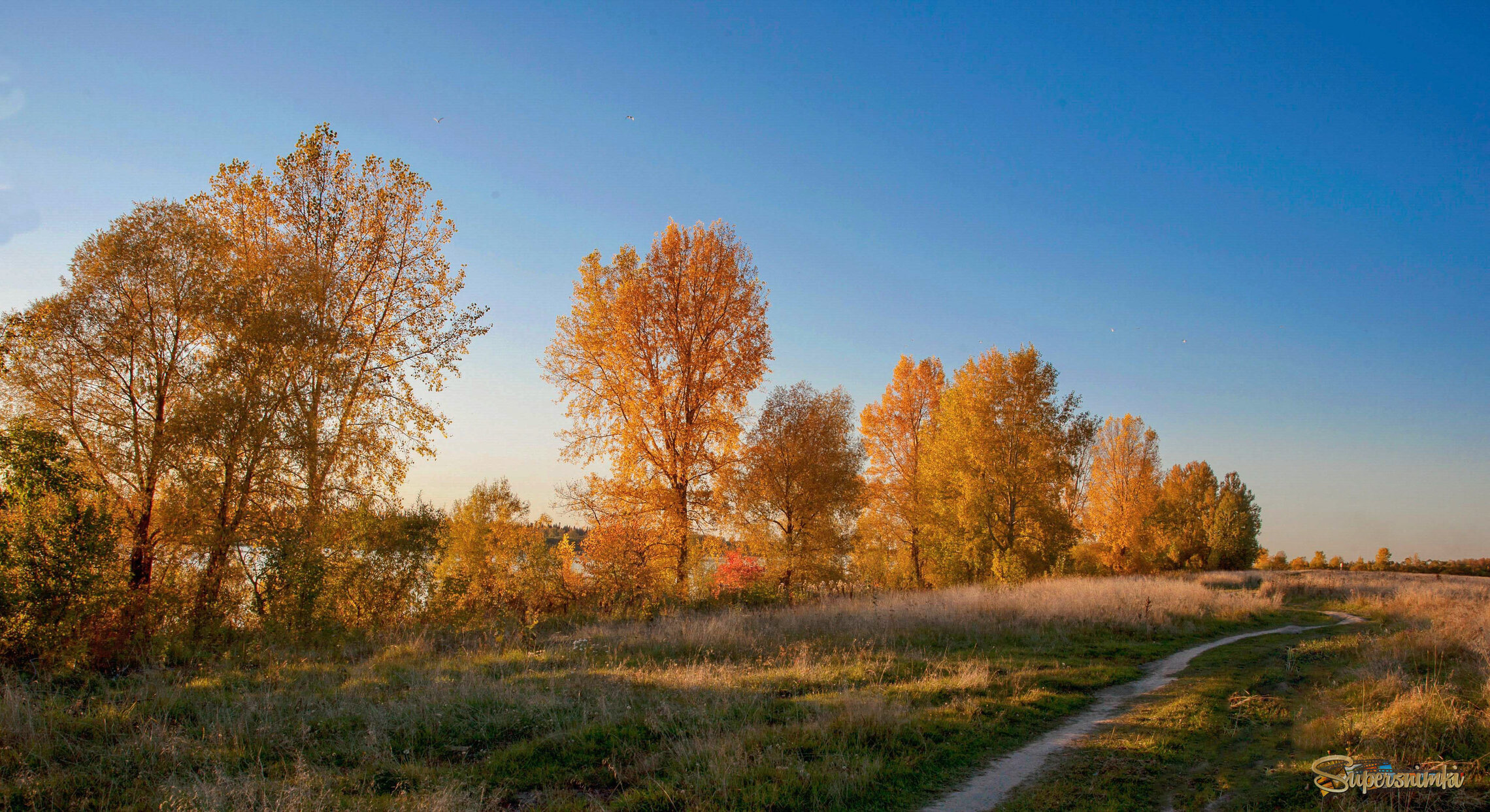 Аллея осени.