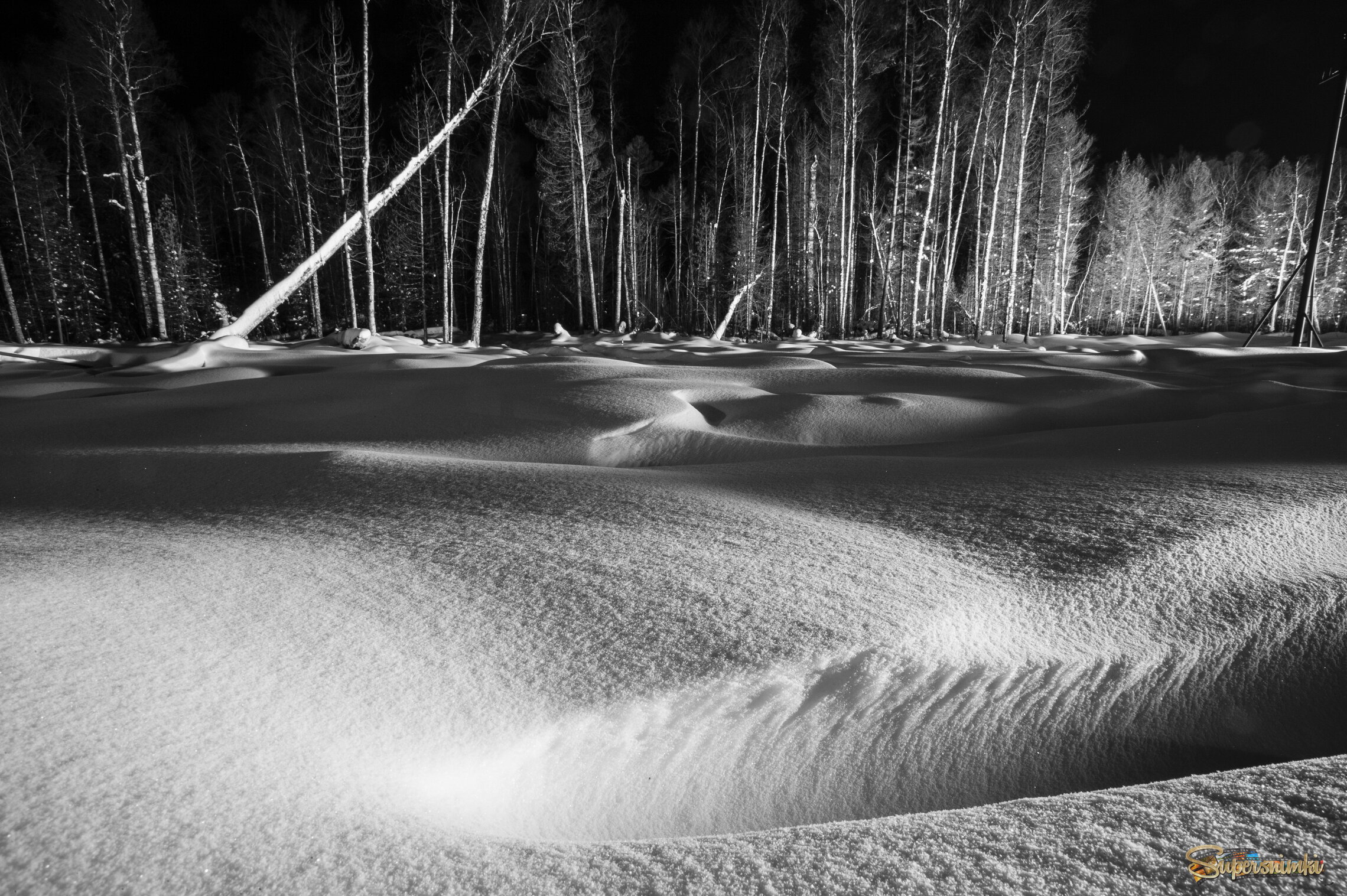 Большое Васюганское болото***