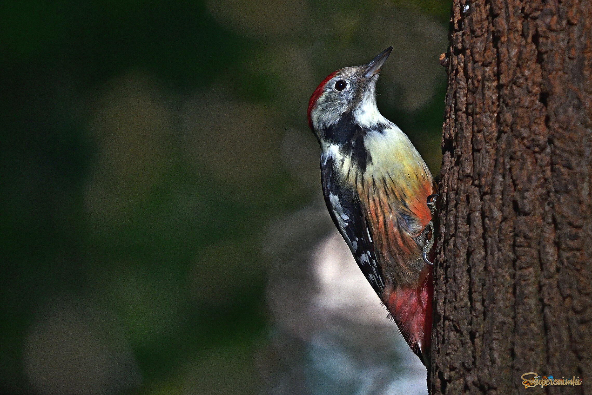 68d682ae22c355b30034dfd8