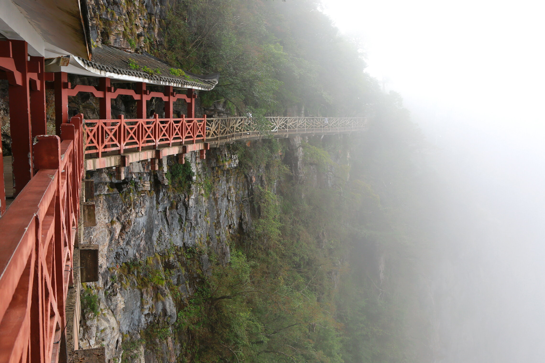 путь  по краешку  в туман ...