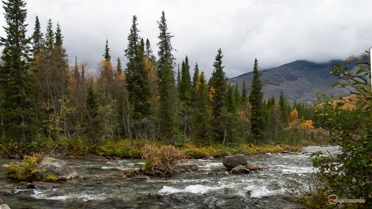 Ненастное утро......