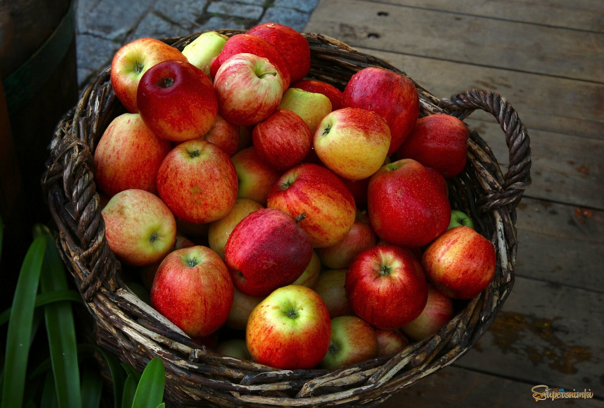 Хороший урожай