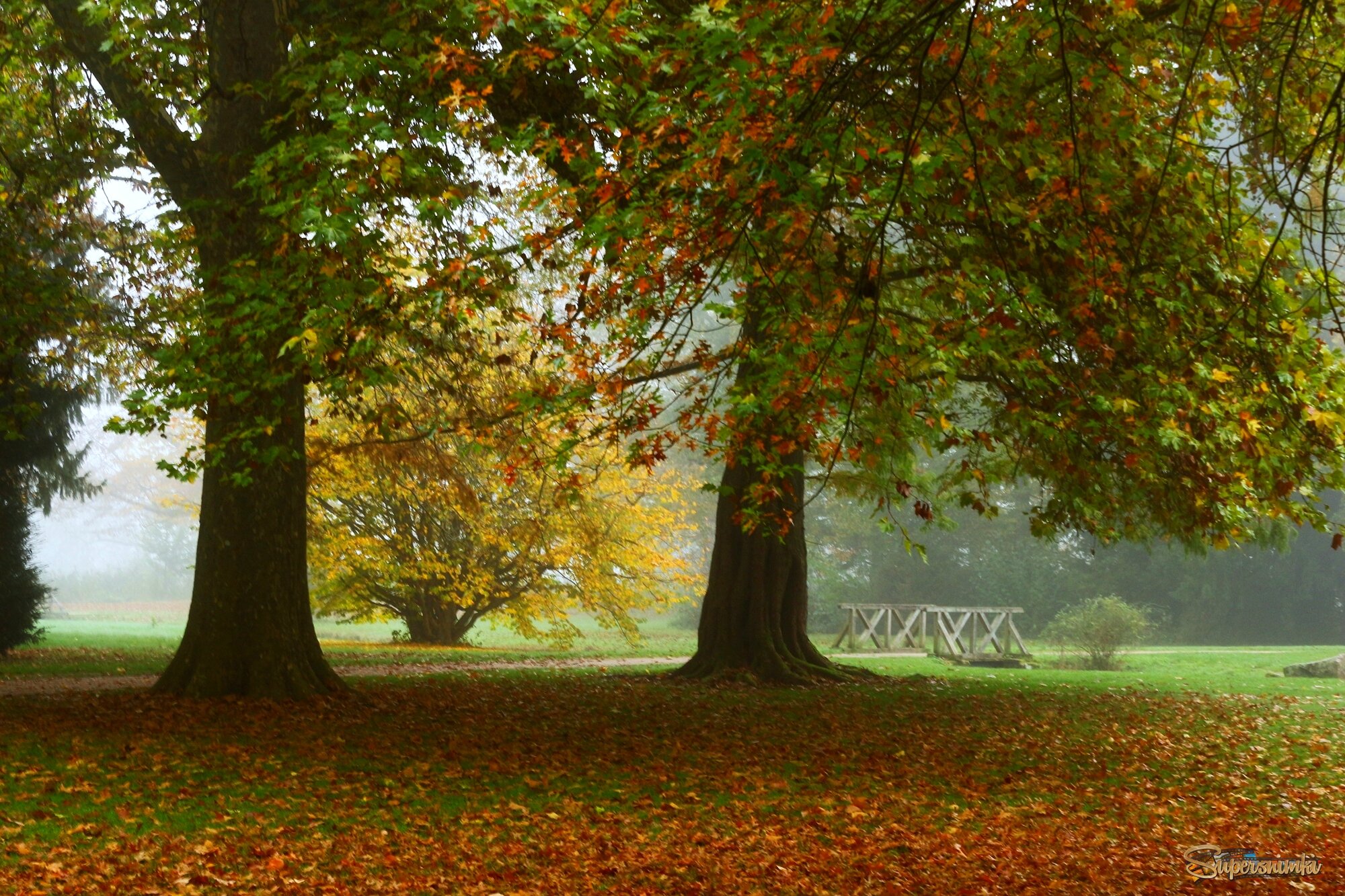 Осенний этюд