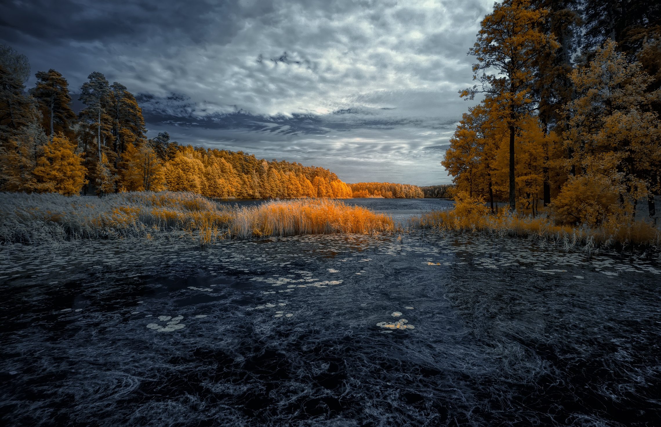 Притяжение осени