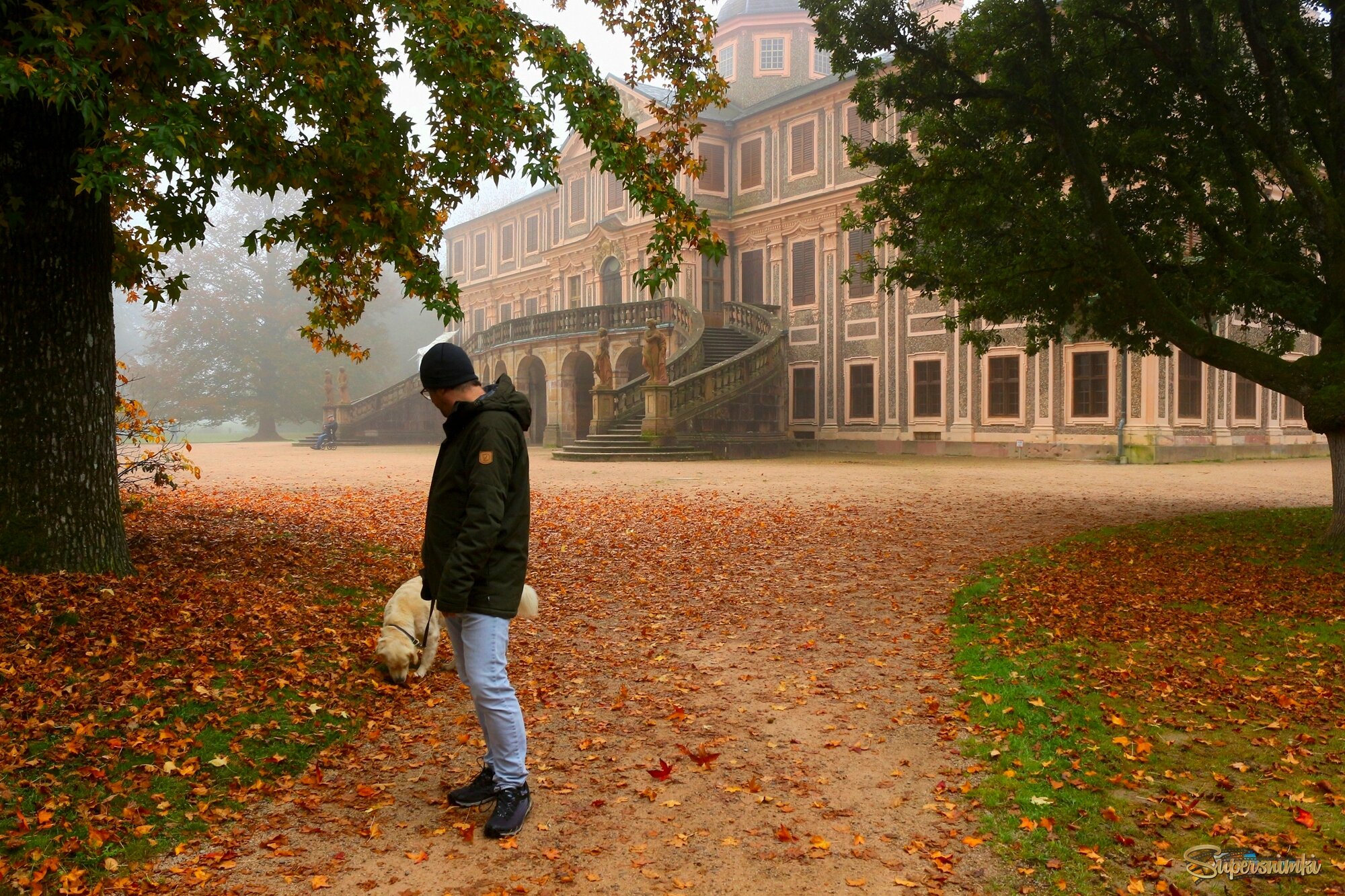У осени так много запахов.
