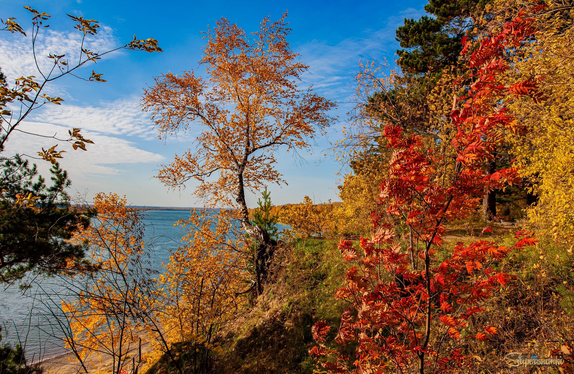 Осенняя пора на Томи