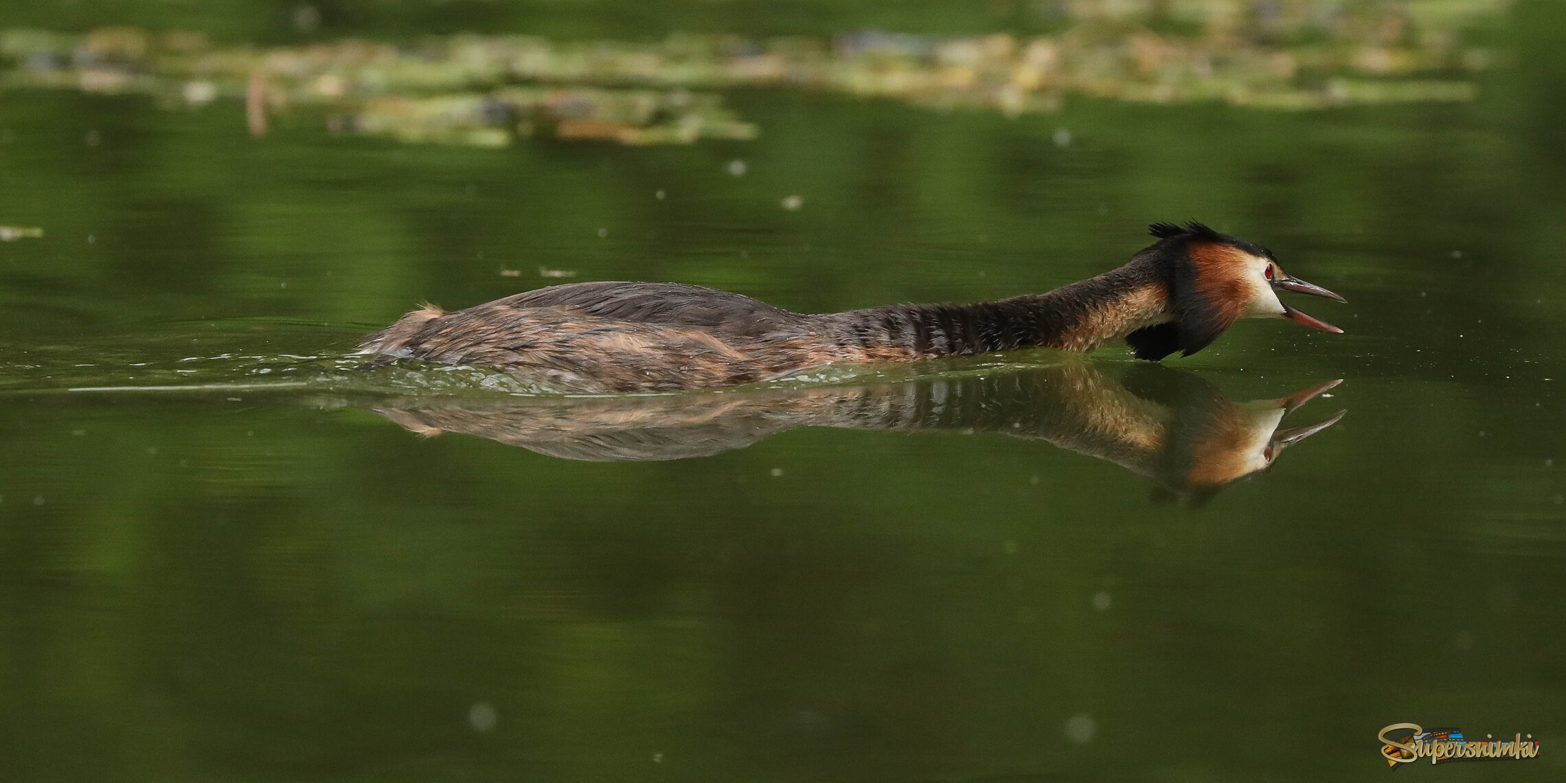 Враг не пройдет!