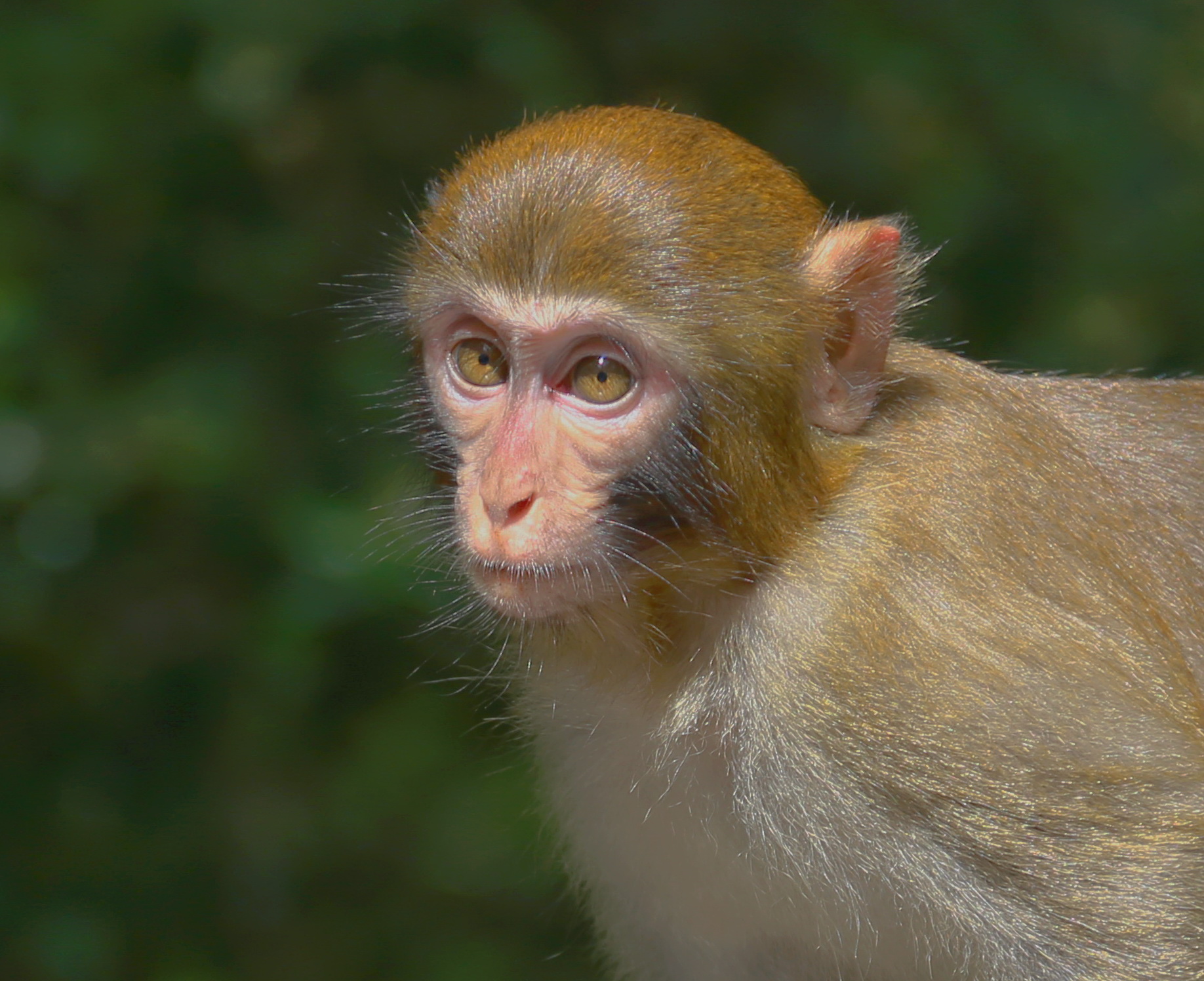 в раздумьях...