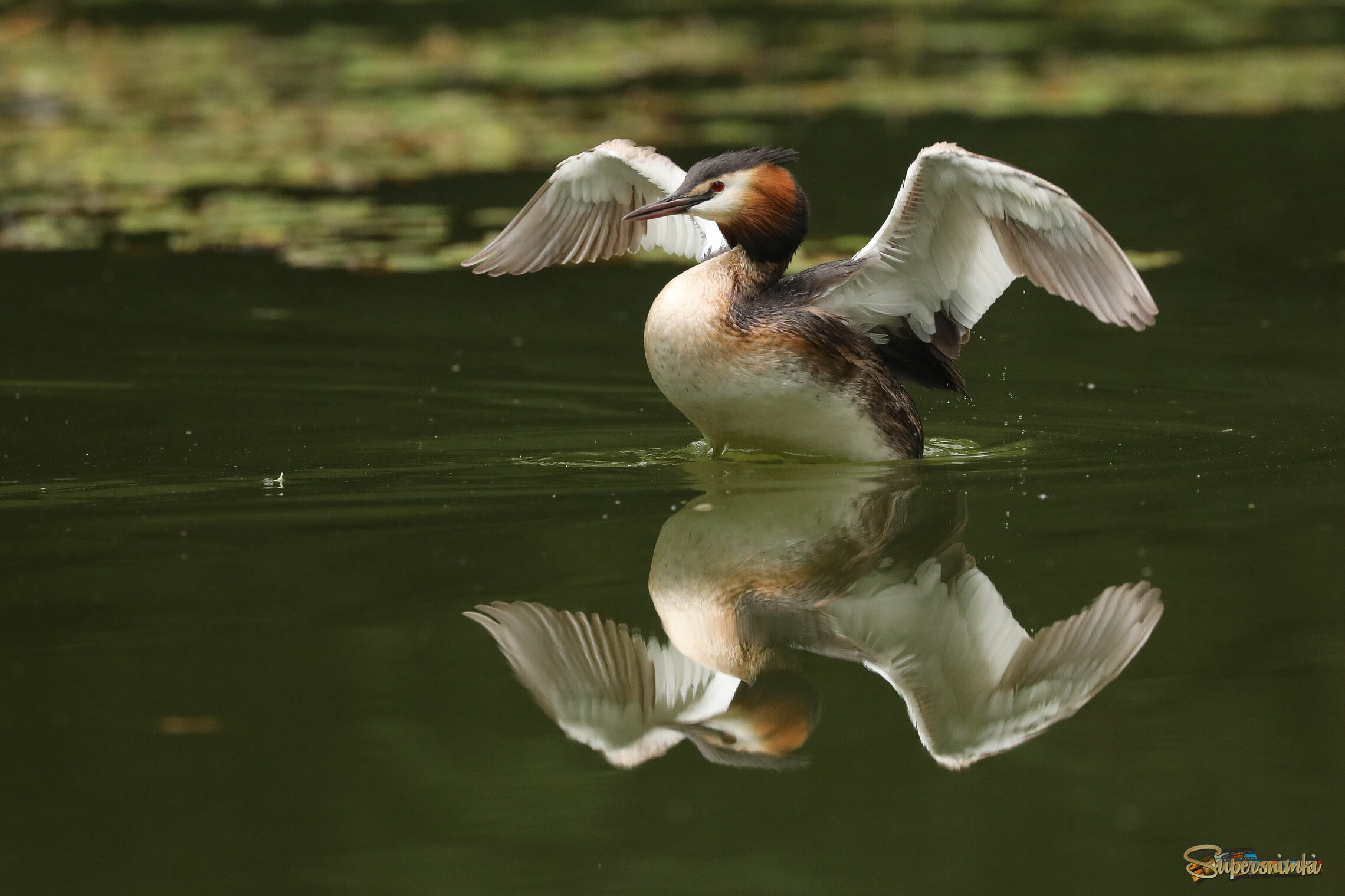 Лёгкая разминка