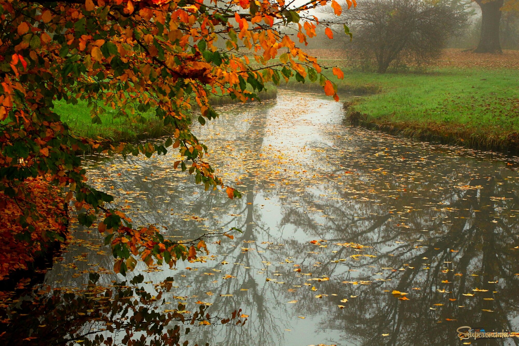 Осенний ручей