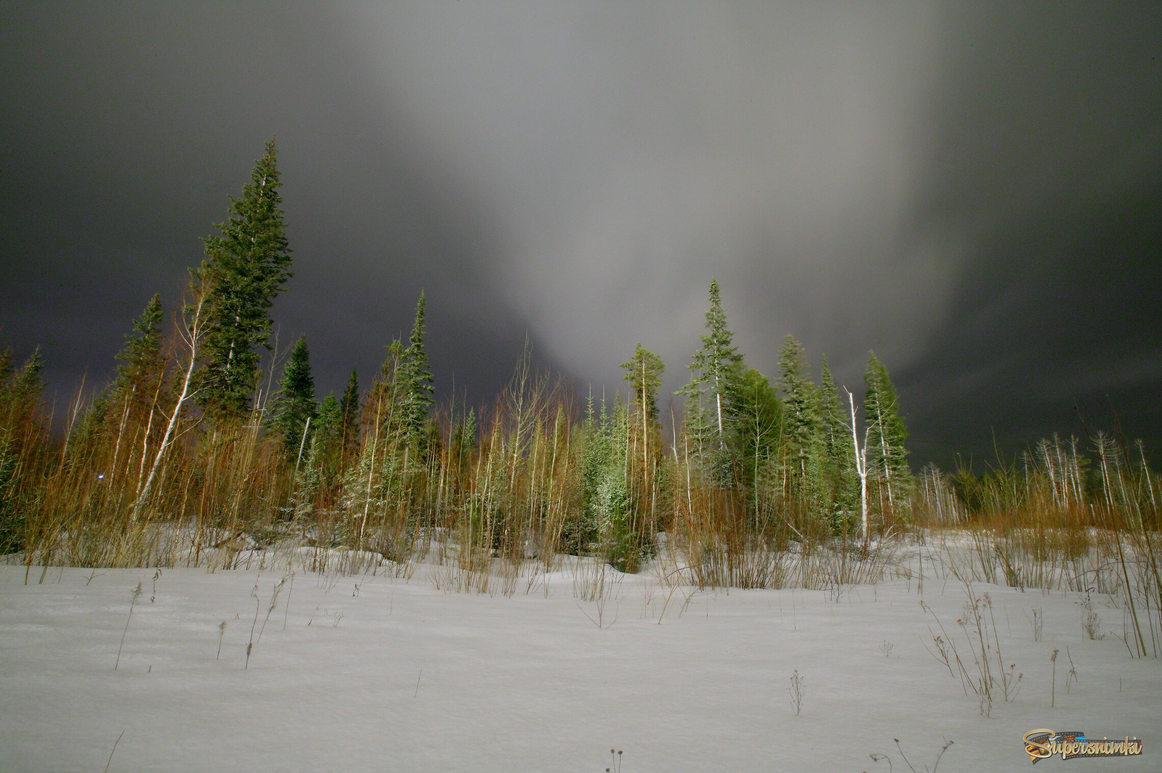 Большое Васюганское болото***