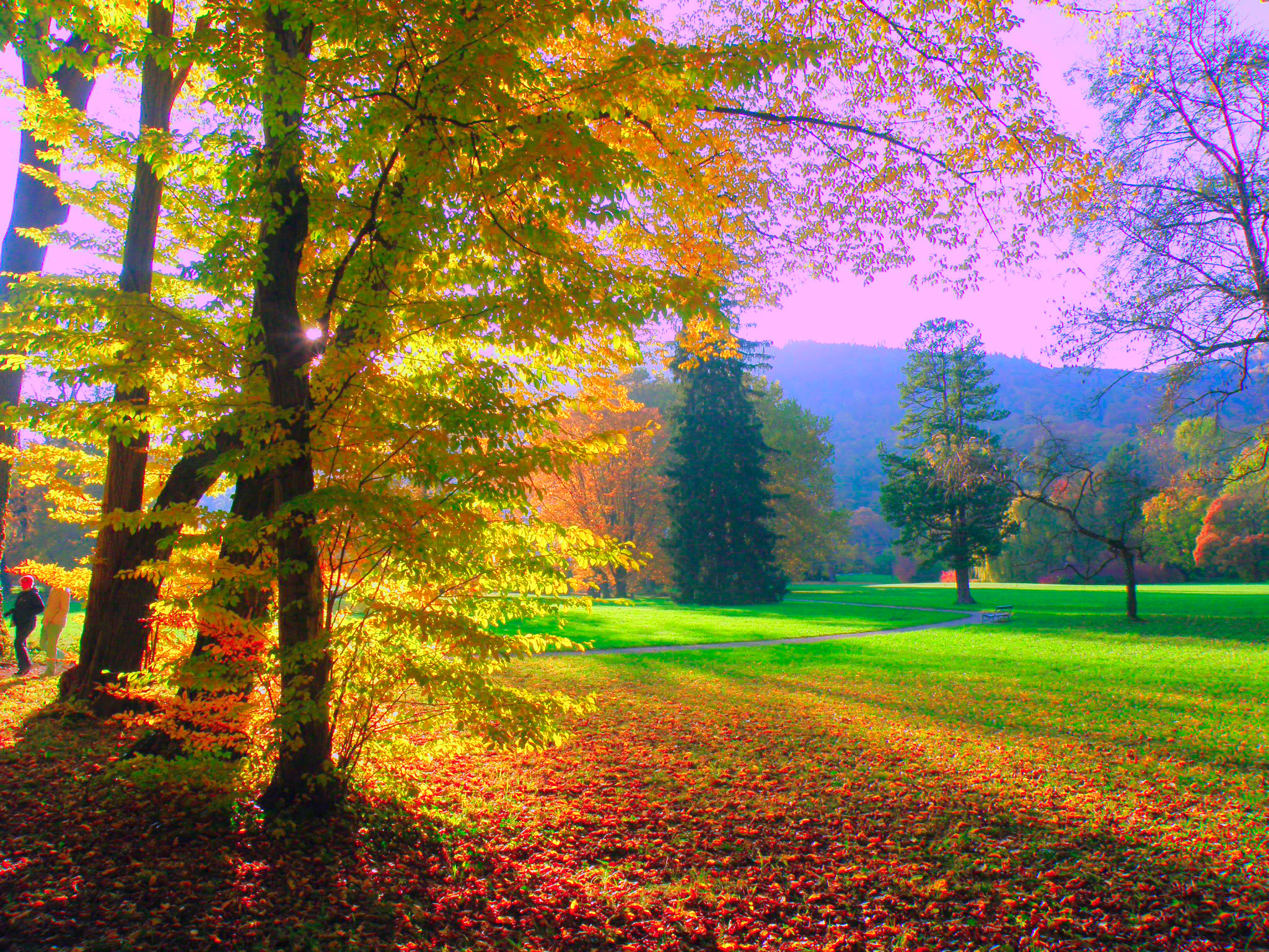 68d959f5cf335a977a34dfd9