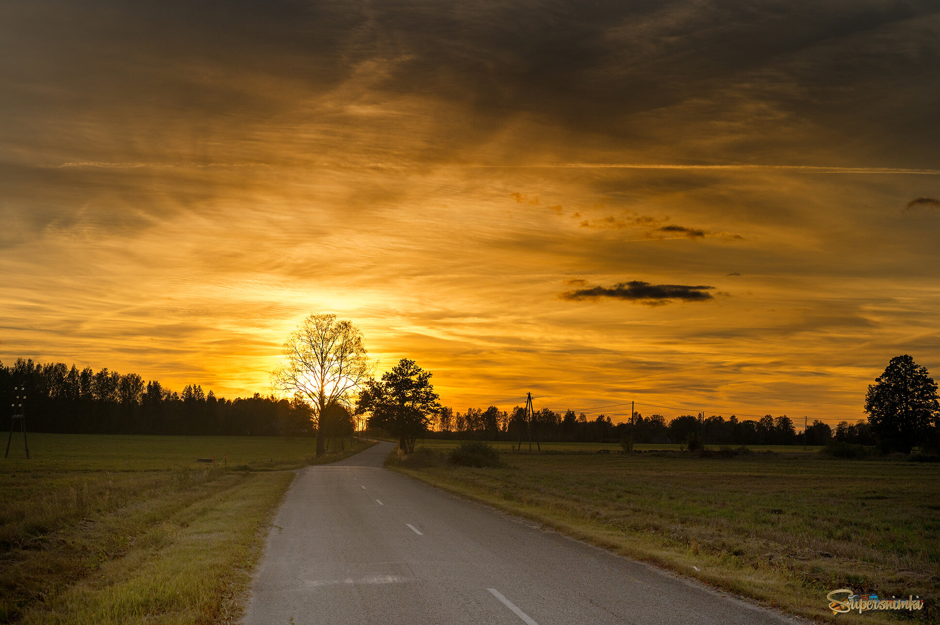 68d8e2fd427b8631a534dfda