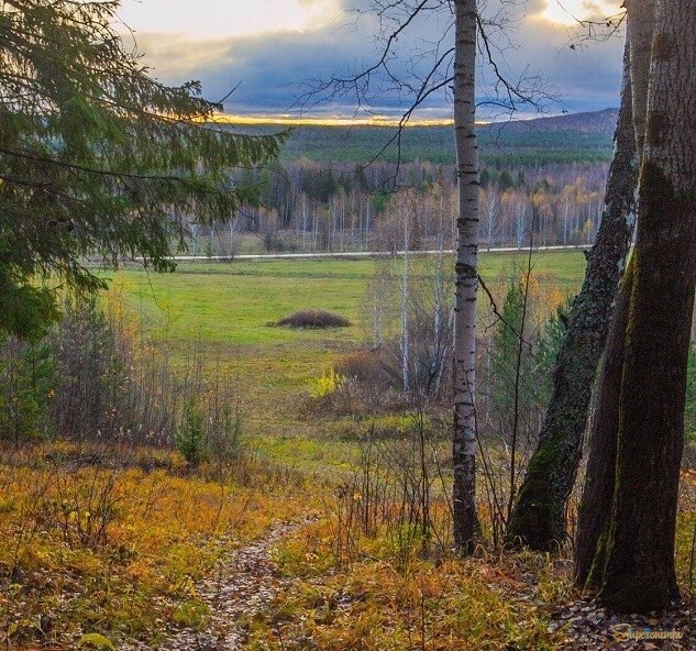 Осенние зарисовки