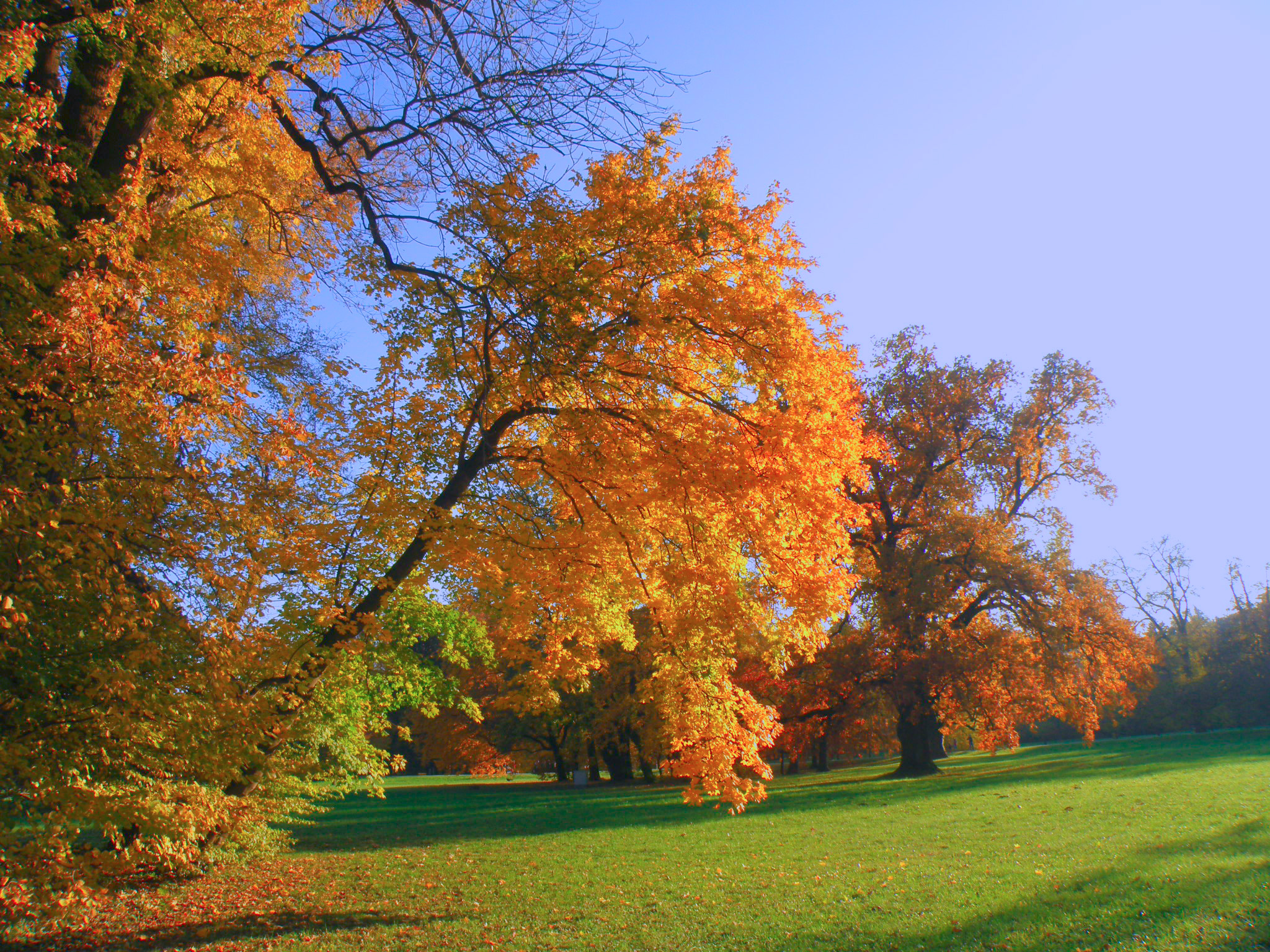 68d95a621d0465949434dfdb