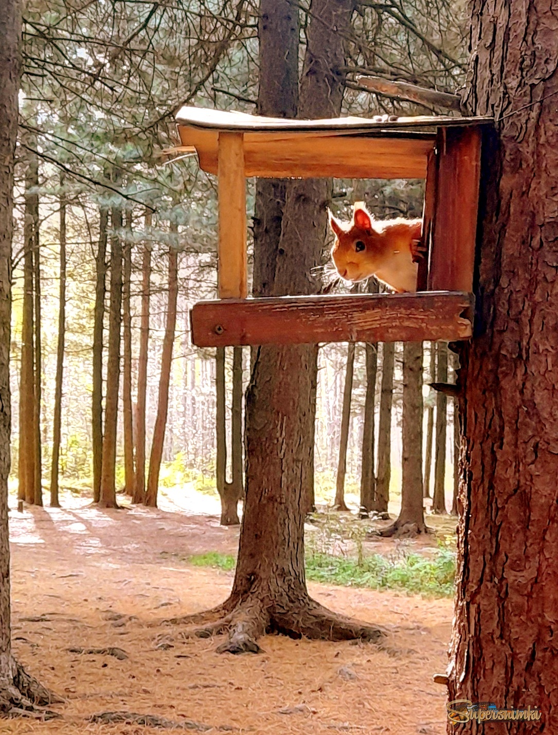 А что это вы здесь делаете ?