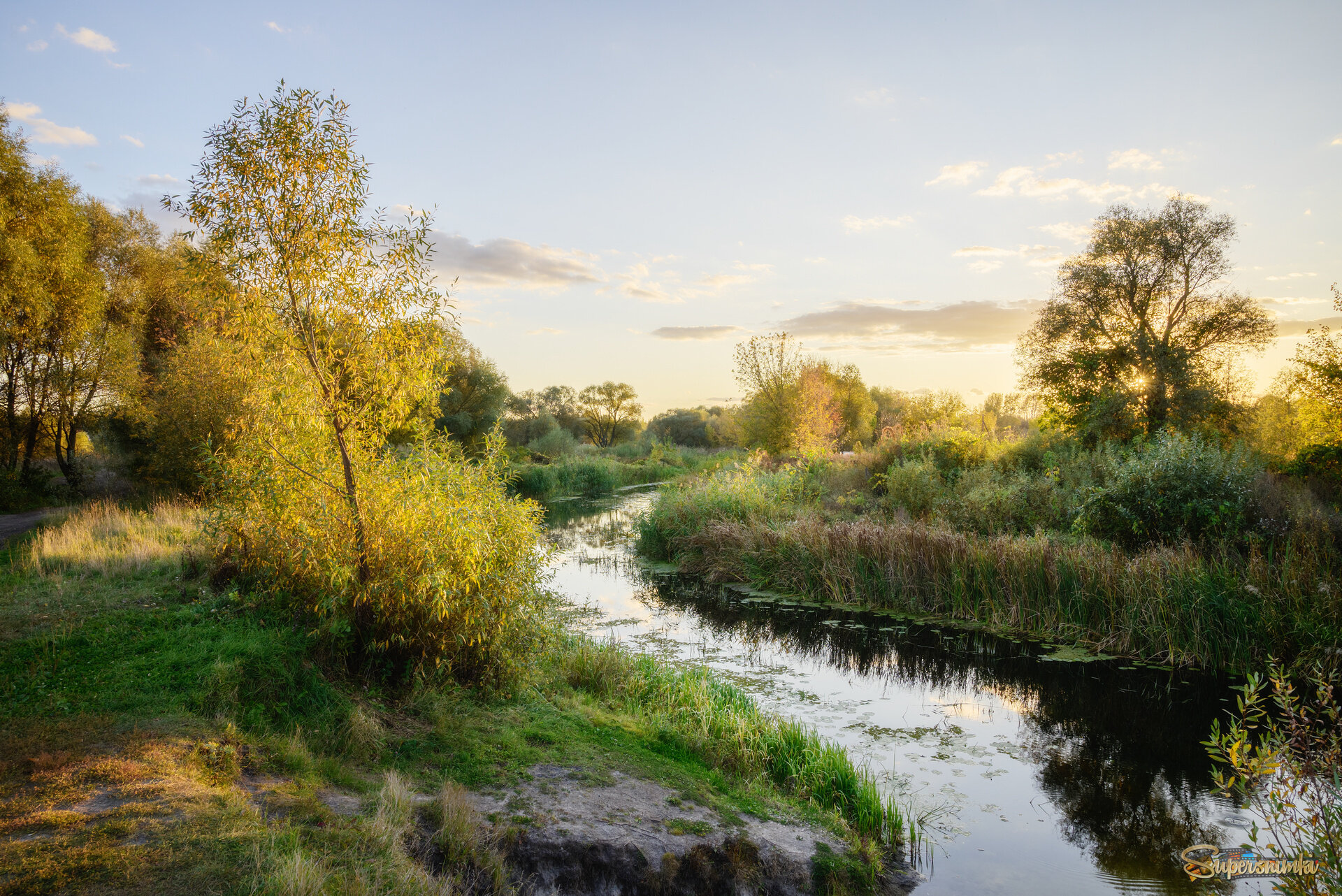 Солнце золото подсветило