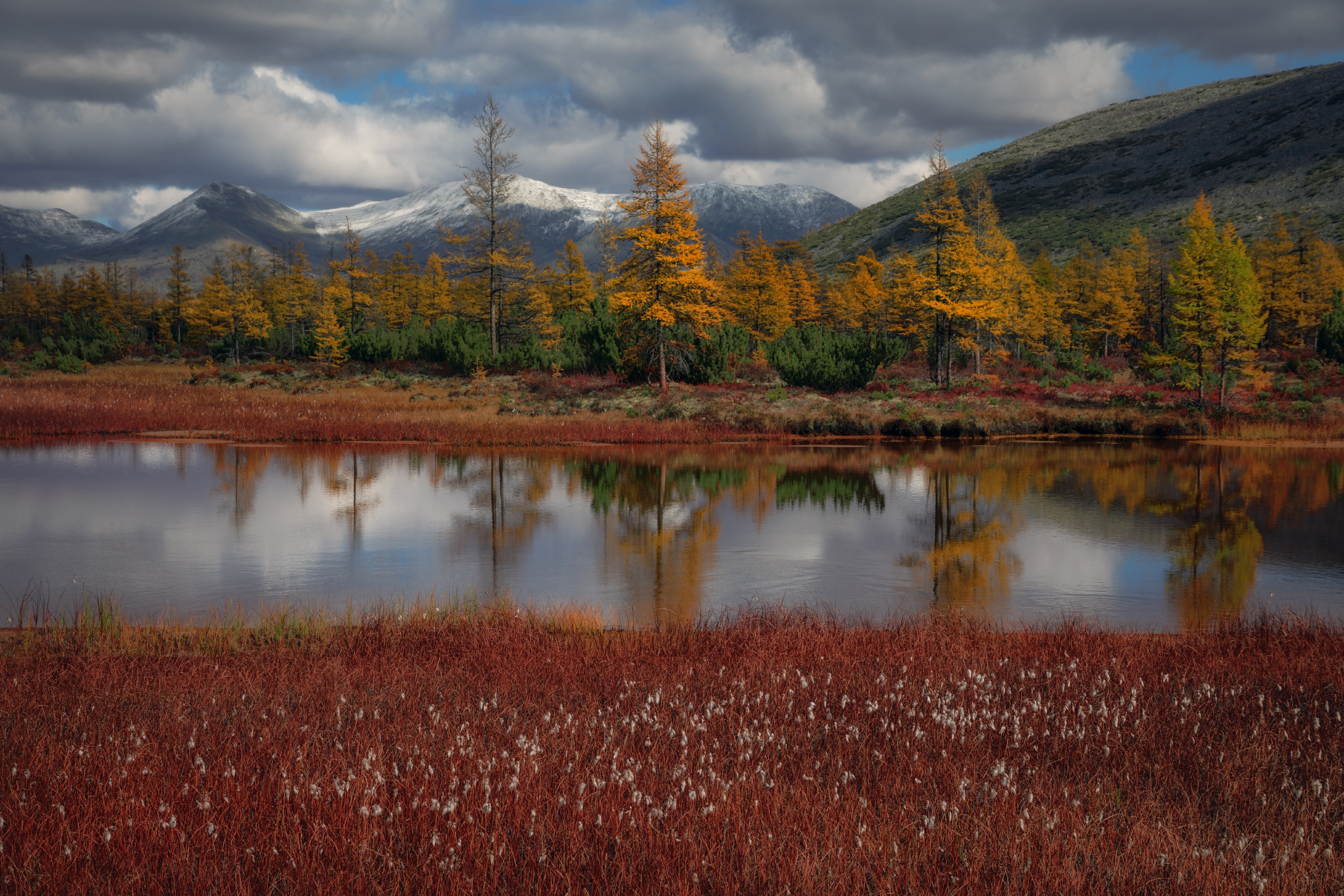 Окрестности Юга