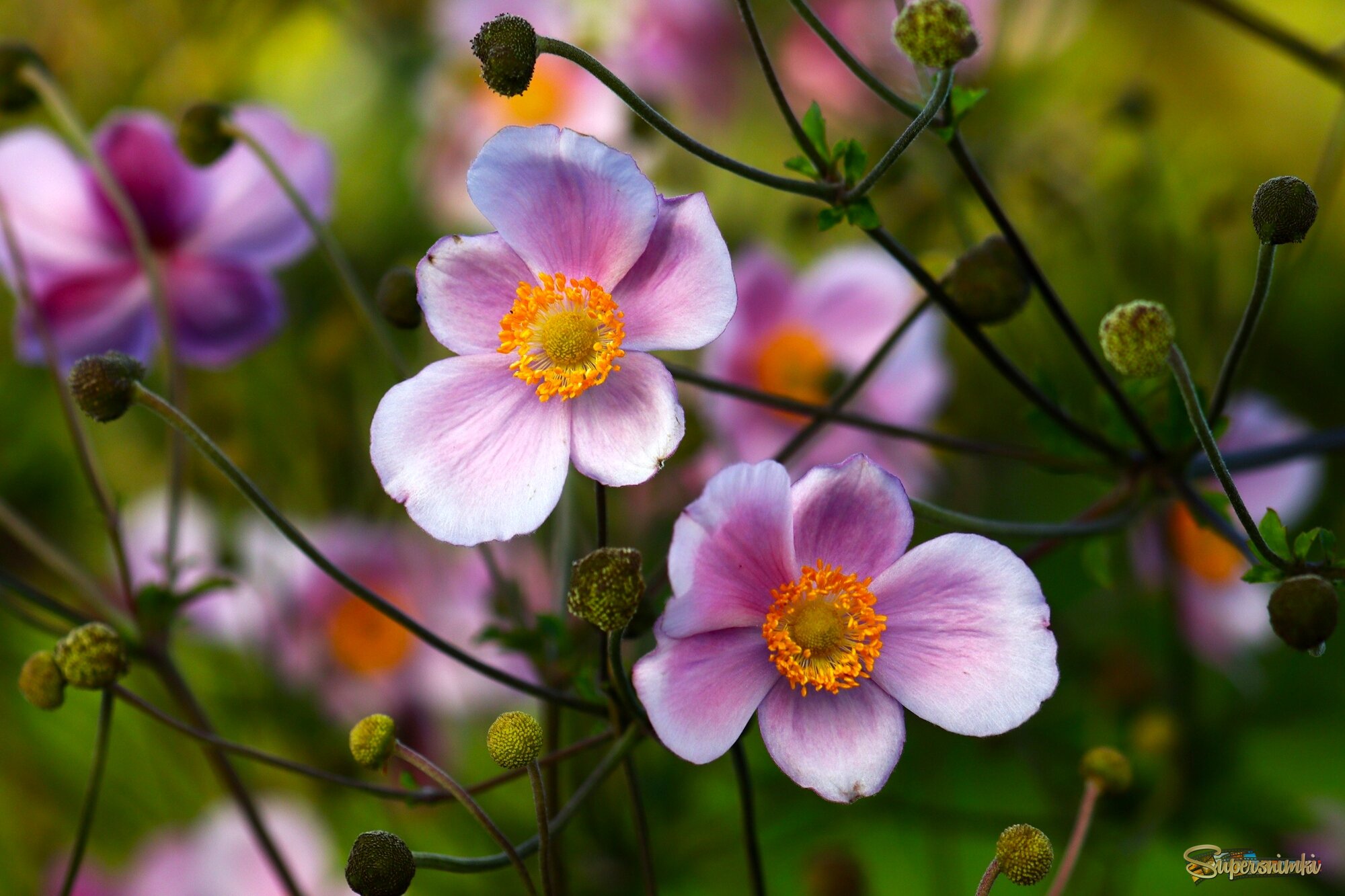 Доброе утро