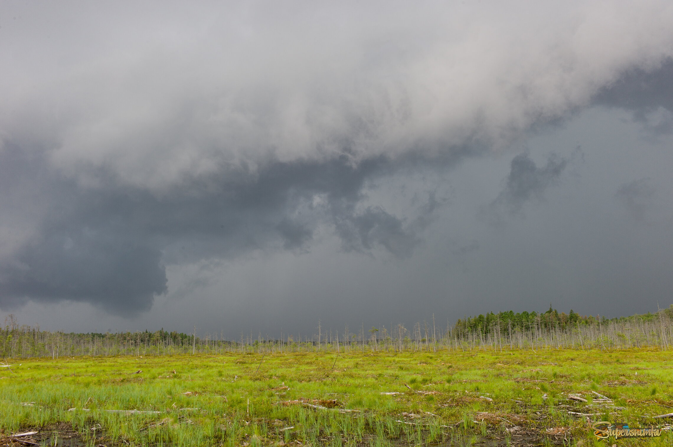 Большое Васюганское болото***