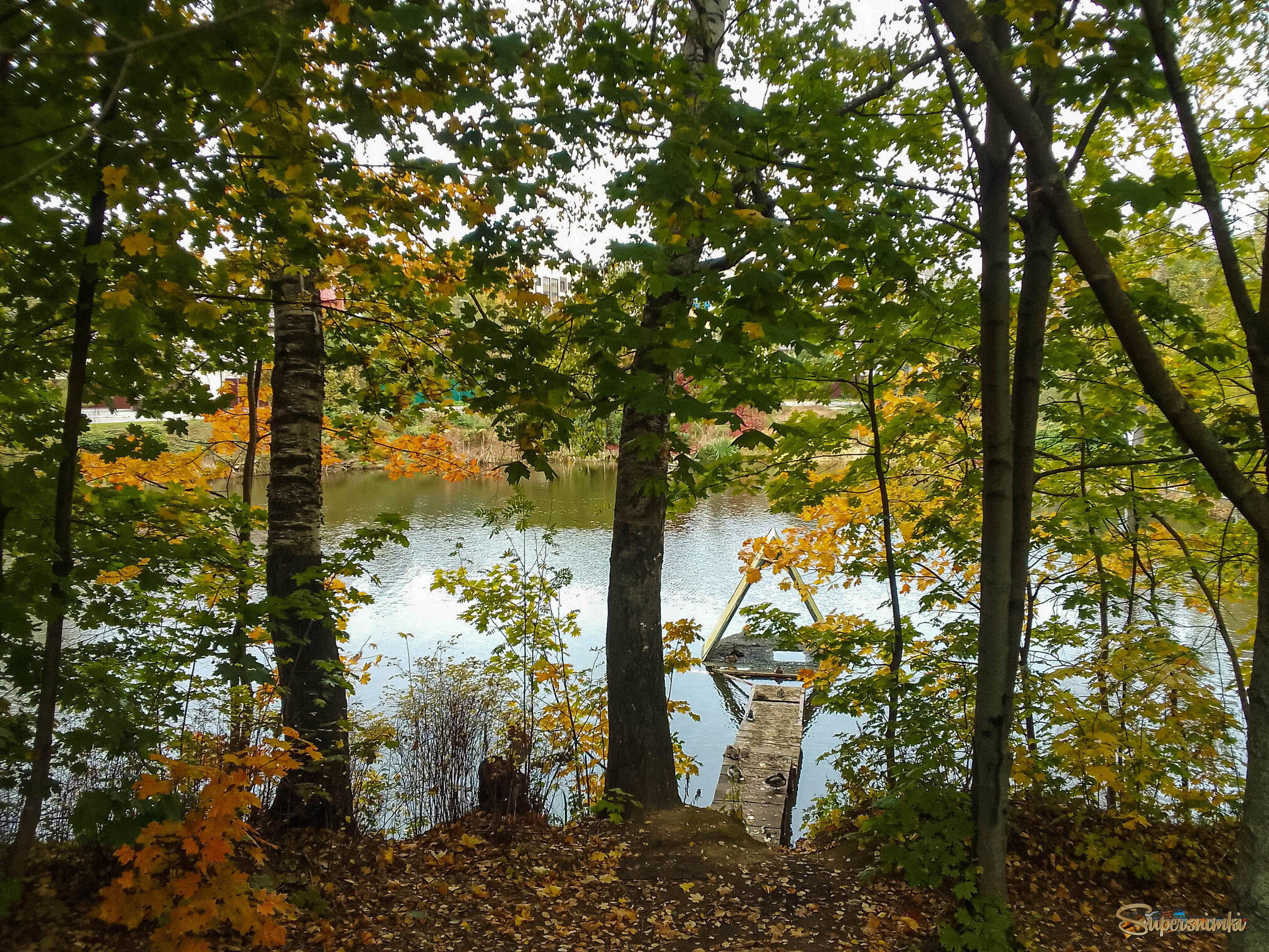 Подмосковье. Конец сентября.
