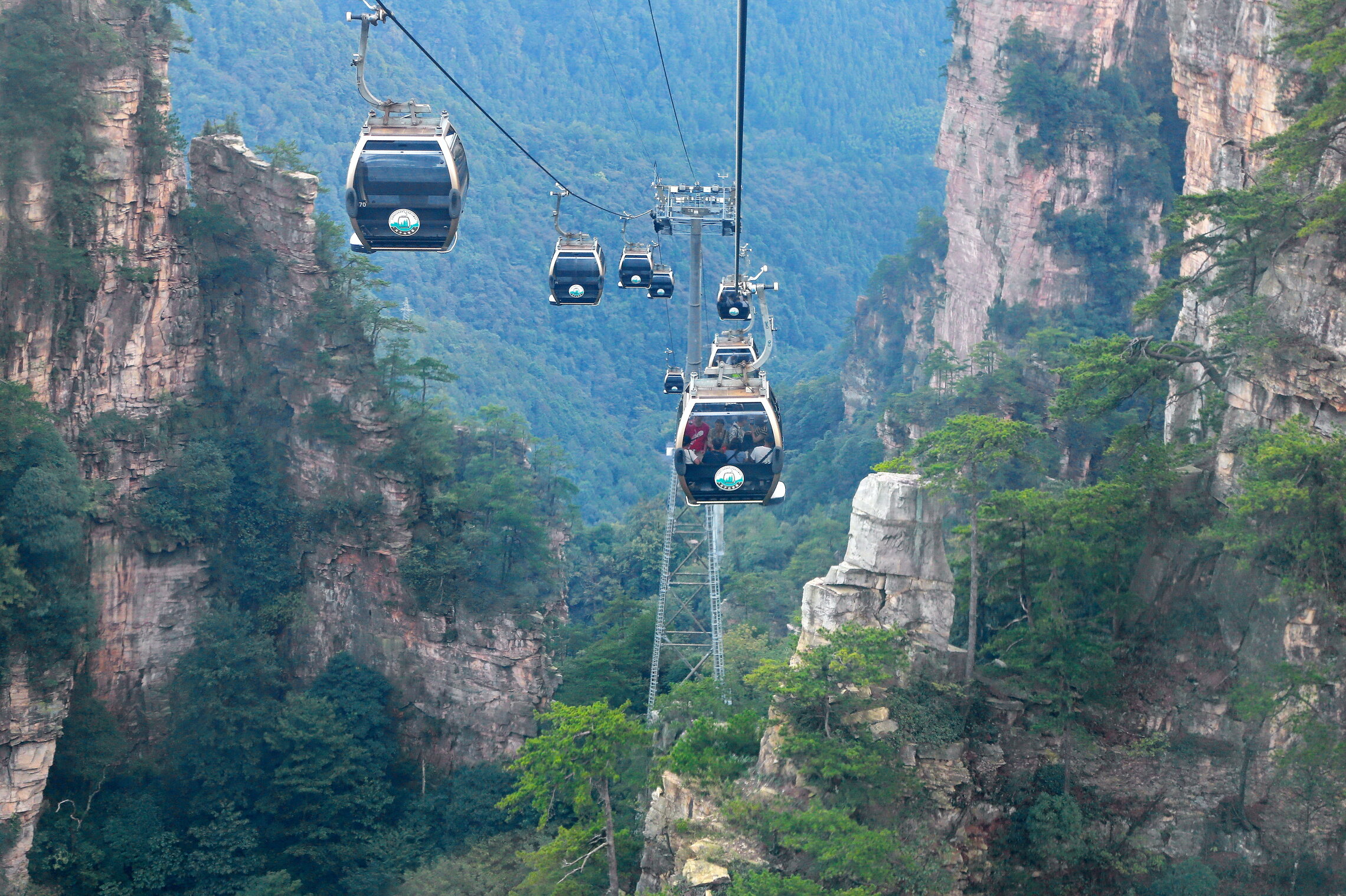 путь в парк Аватар