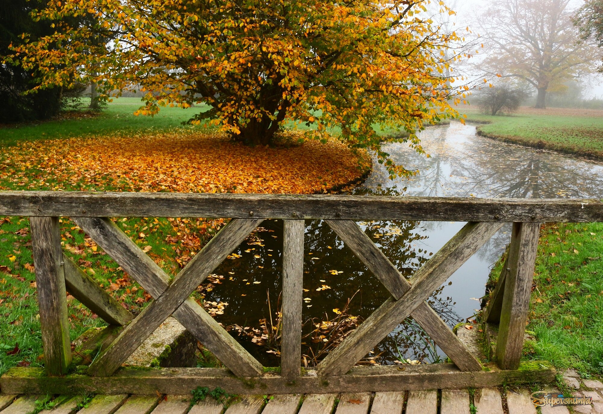 В парке осень