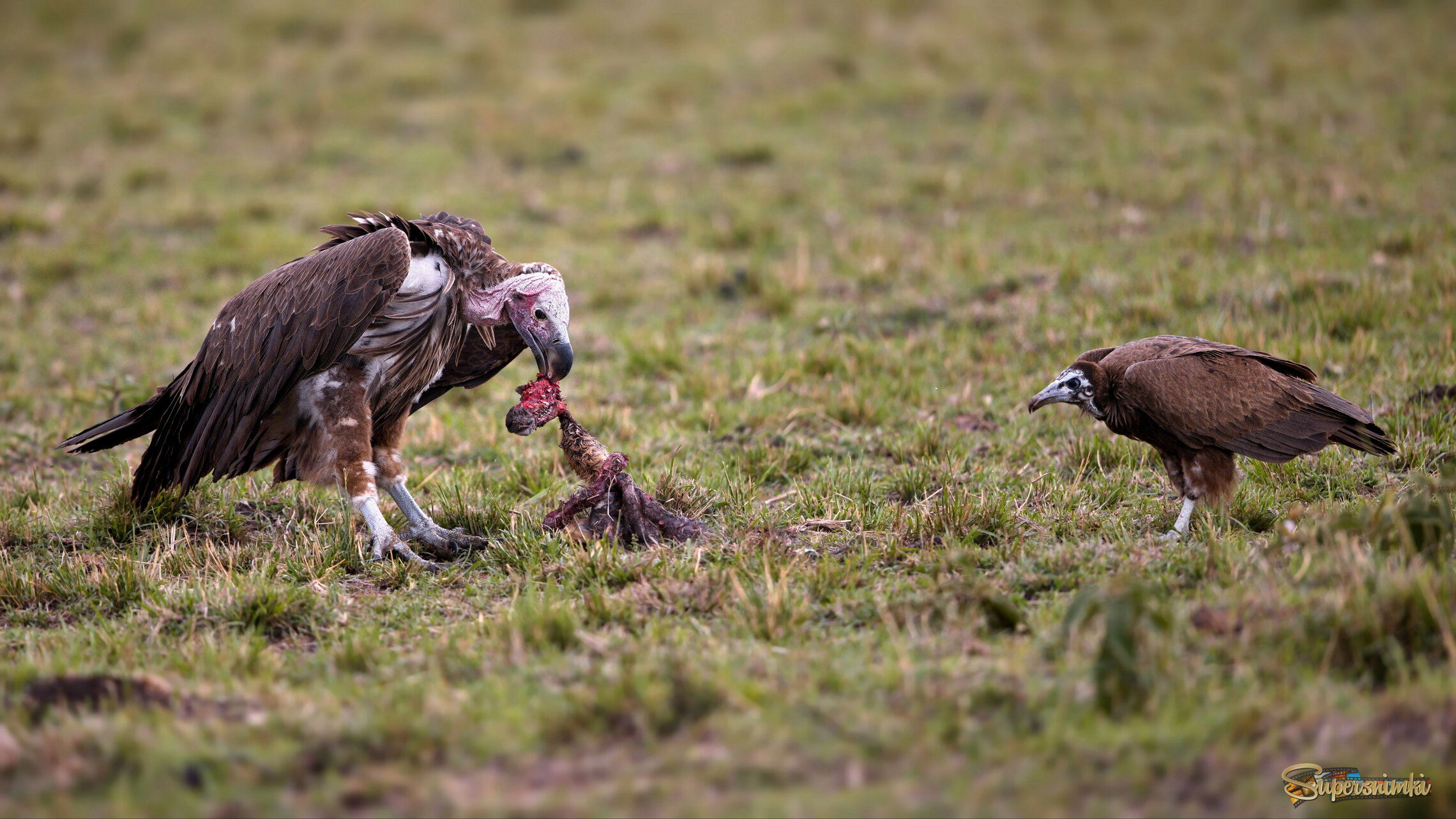 И ведь даже и не собирается делиться(!