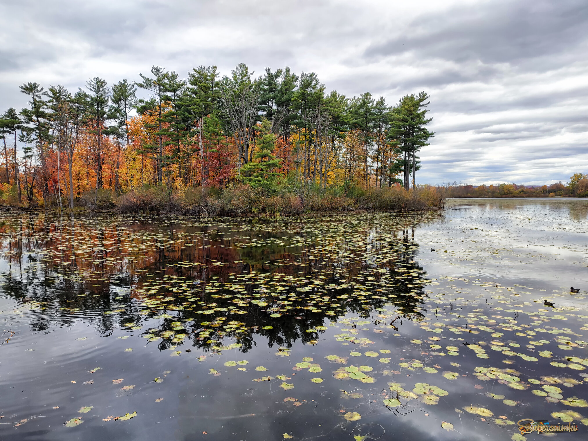 Долгопрудная