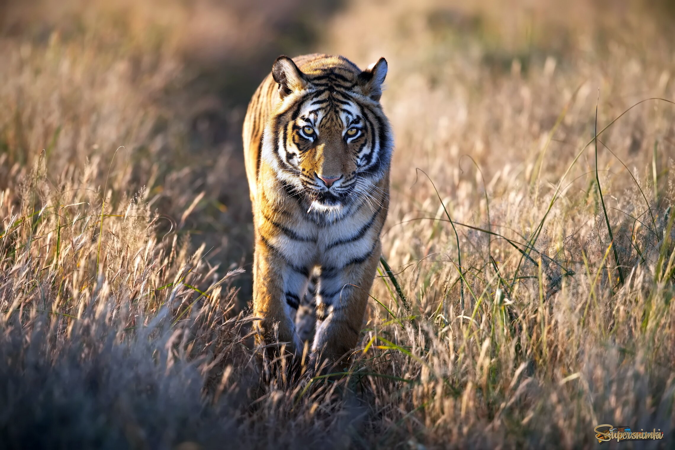 Одностороннее движение