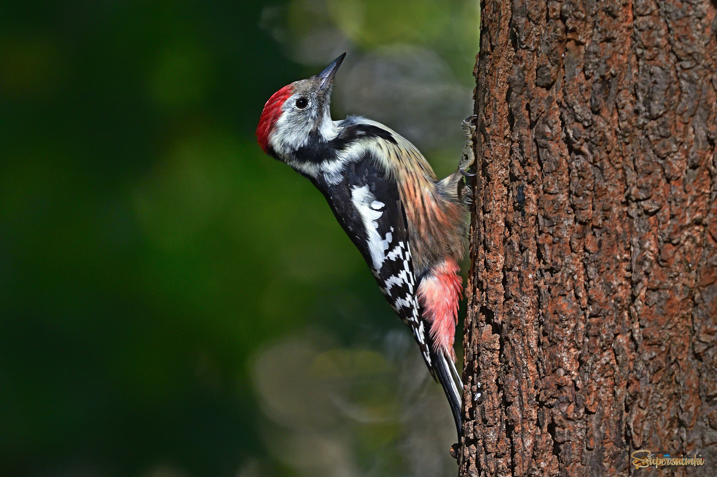 68dcbeb73decfdc337594932