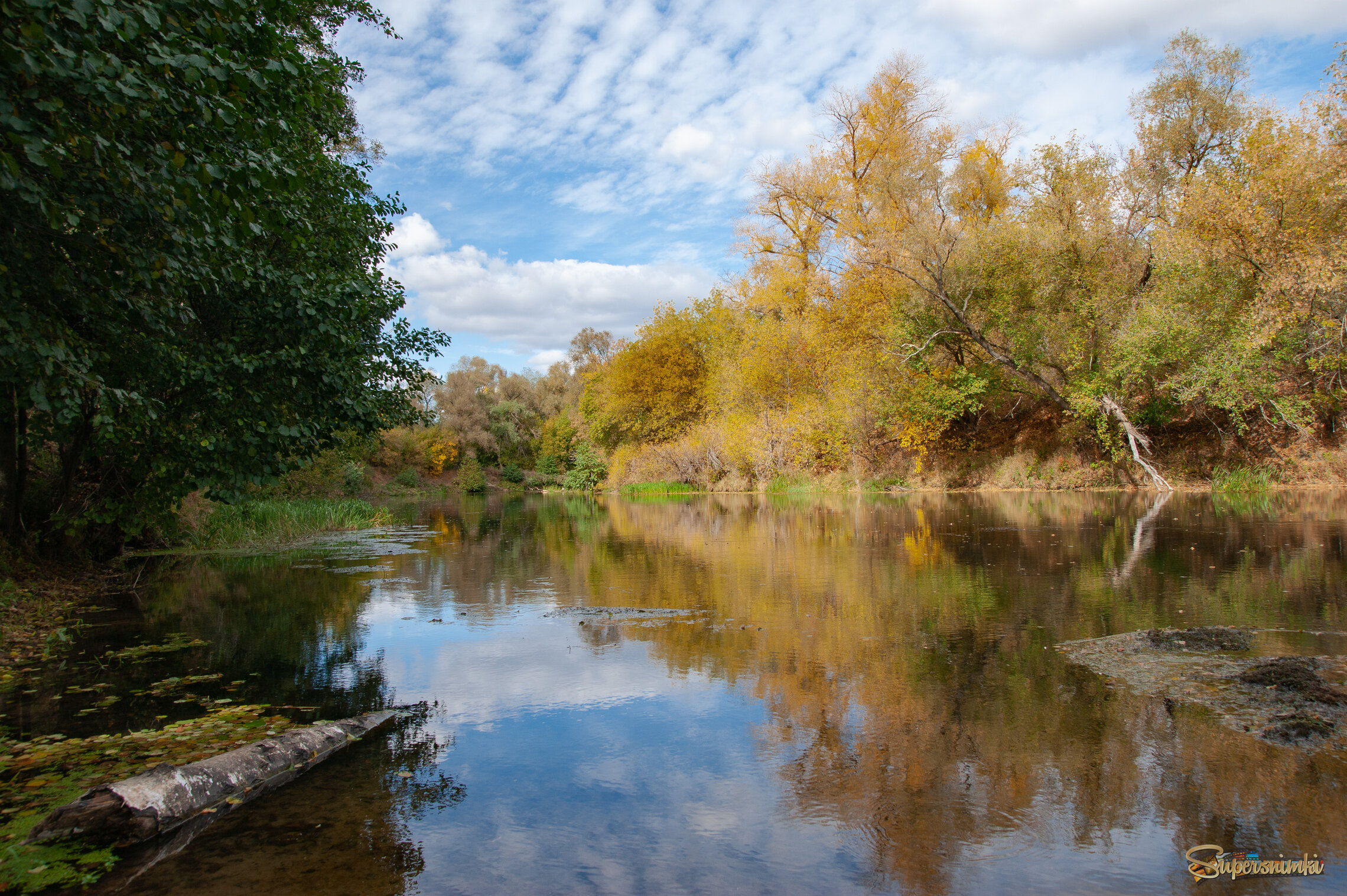 Осенние виды