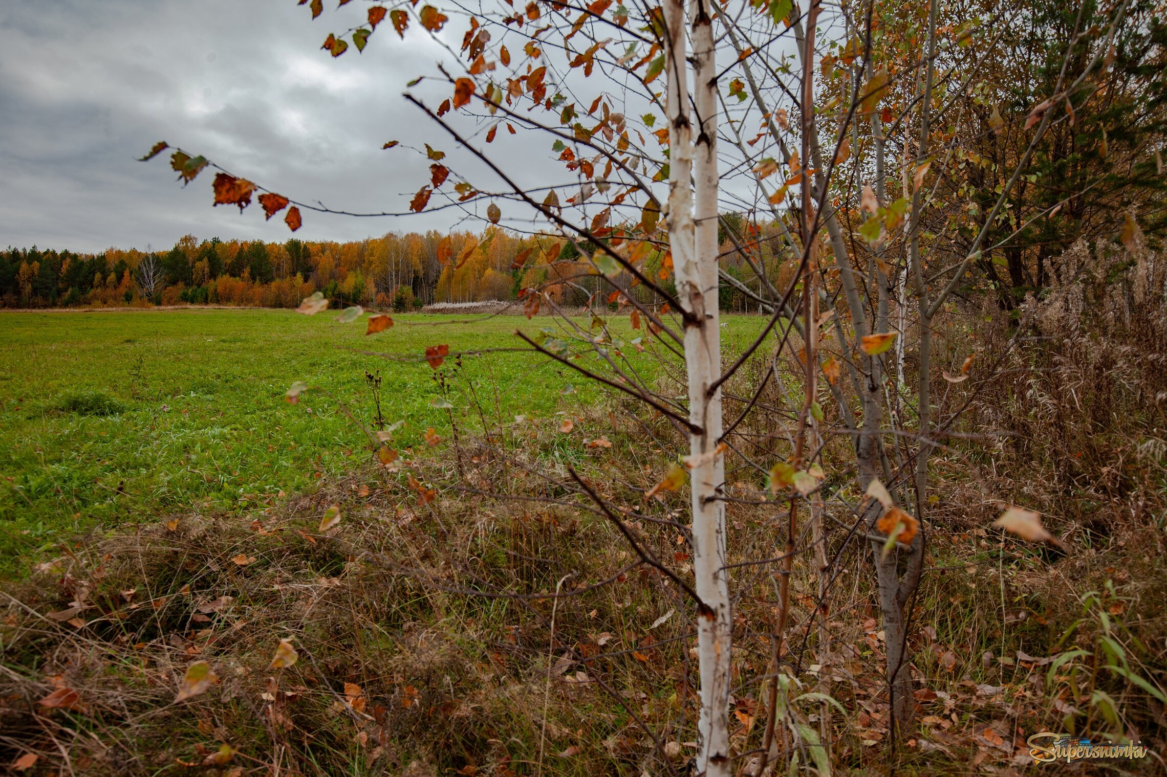 Увядающая осень