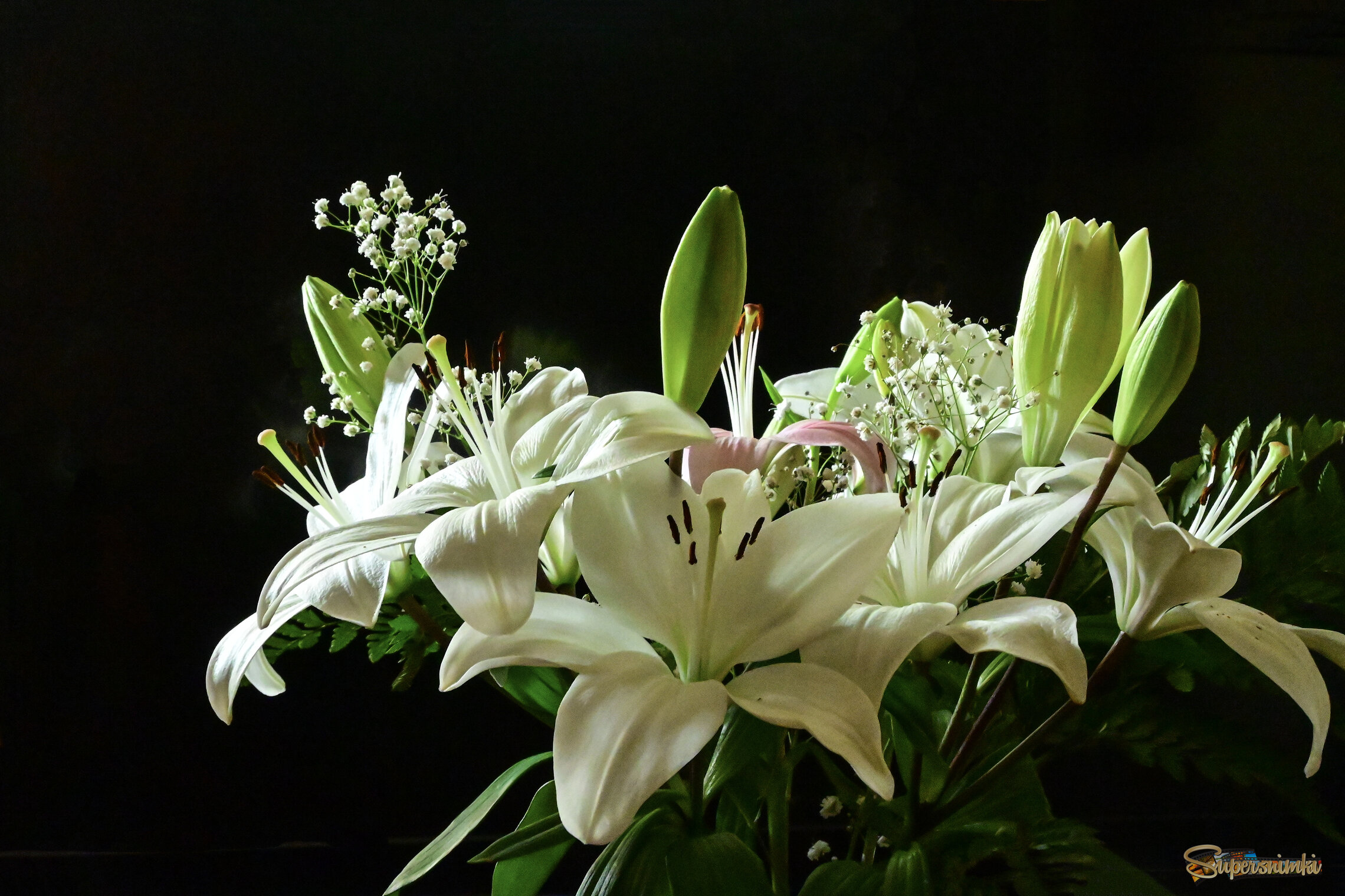 Воспоминания