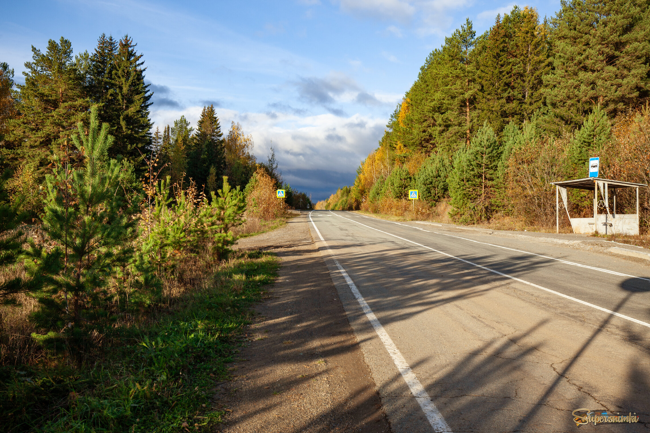 Дорога вдаль