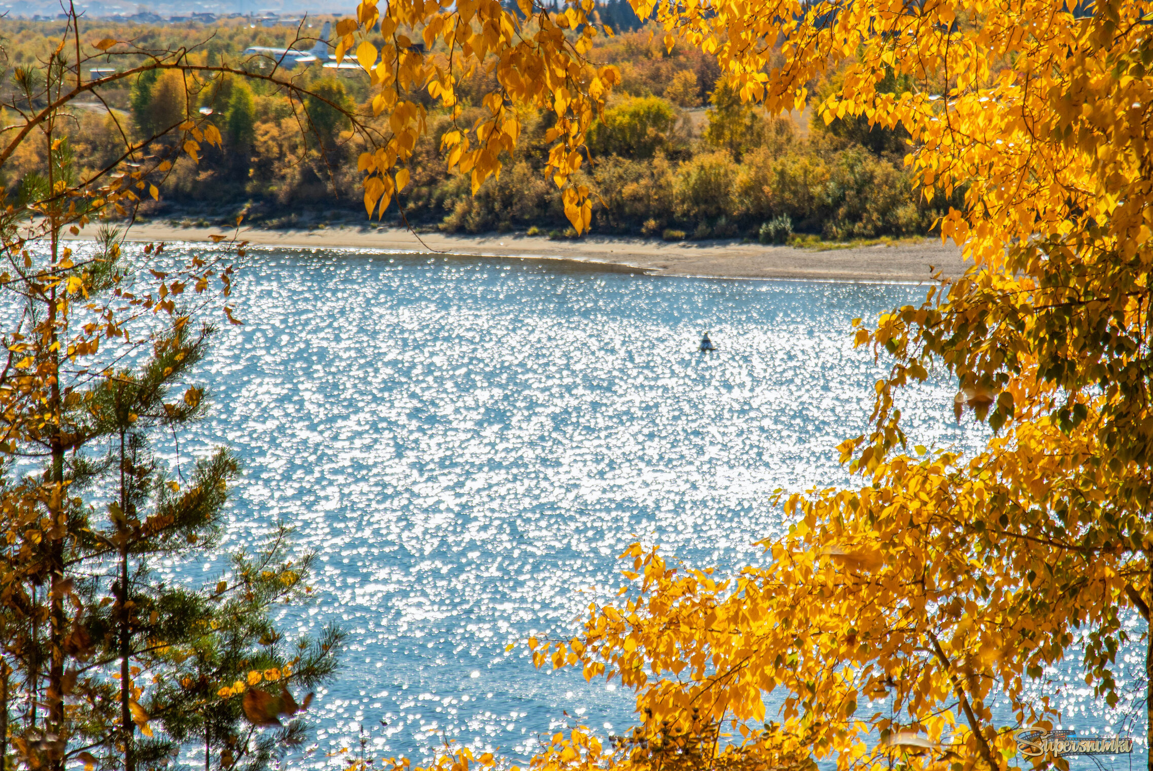 Осенняя  россыпь серебра и золота