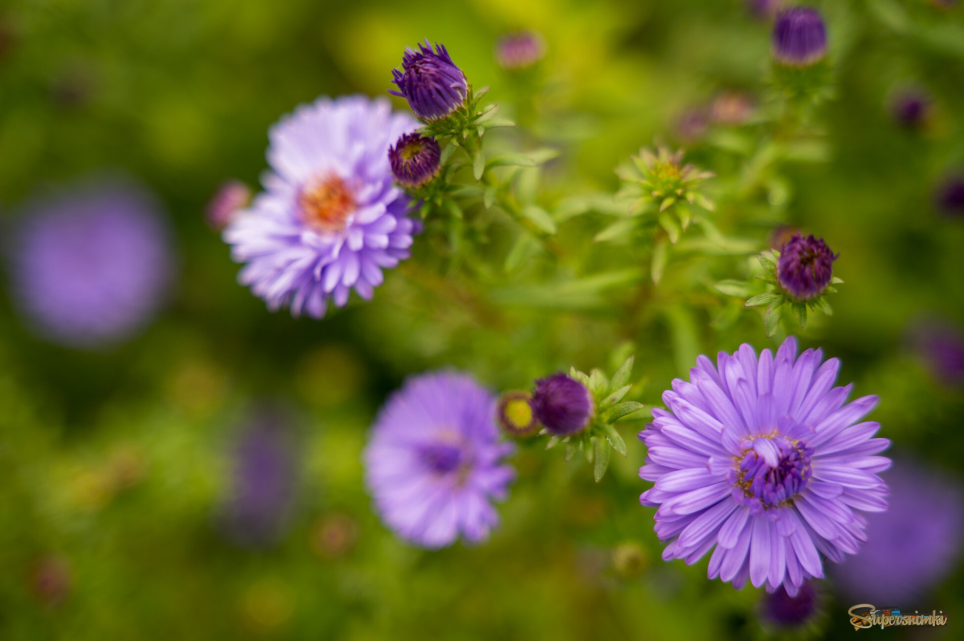 68dd11e191a83c4fcc594932