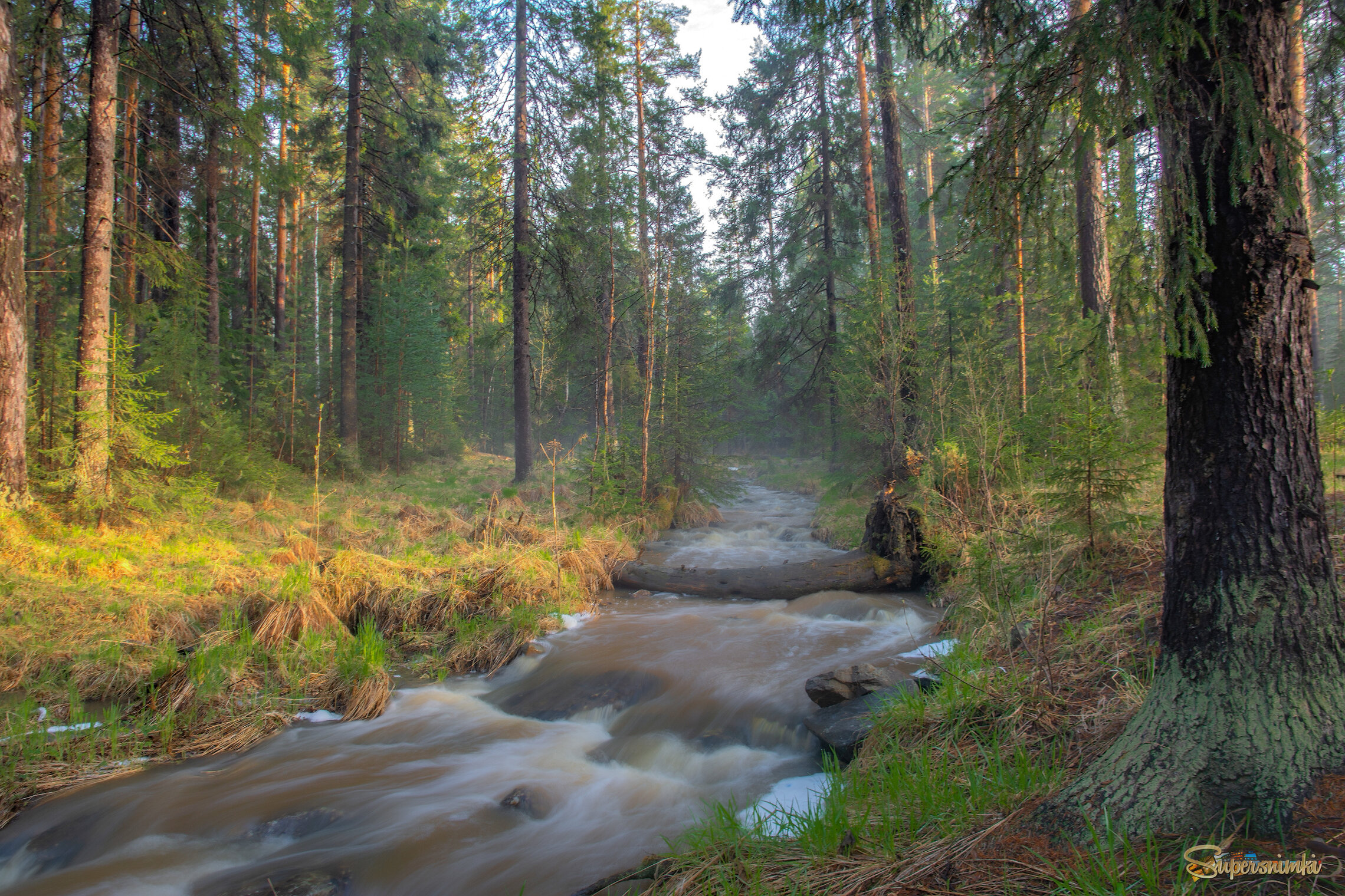 В осеннем лесу 