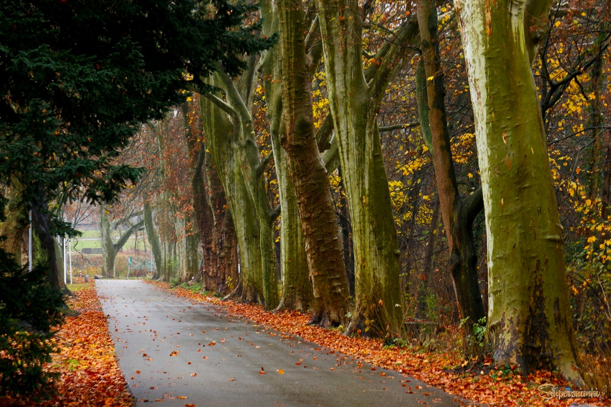 Поздняя осень