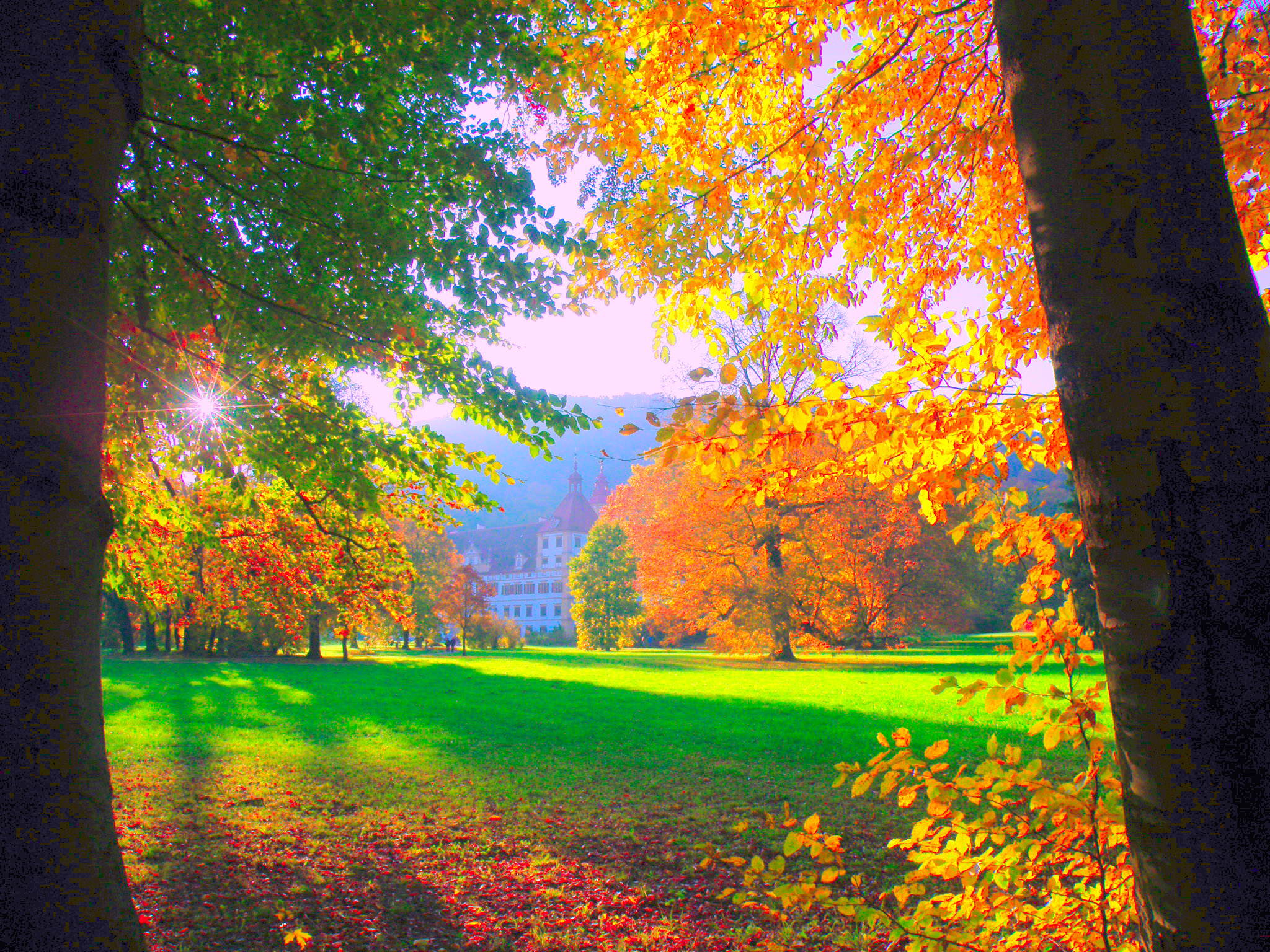 Солнечный день.