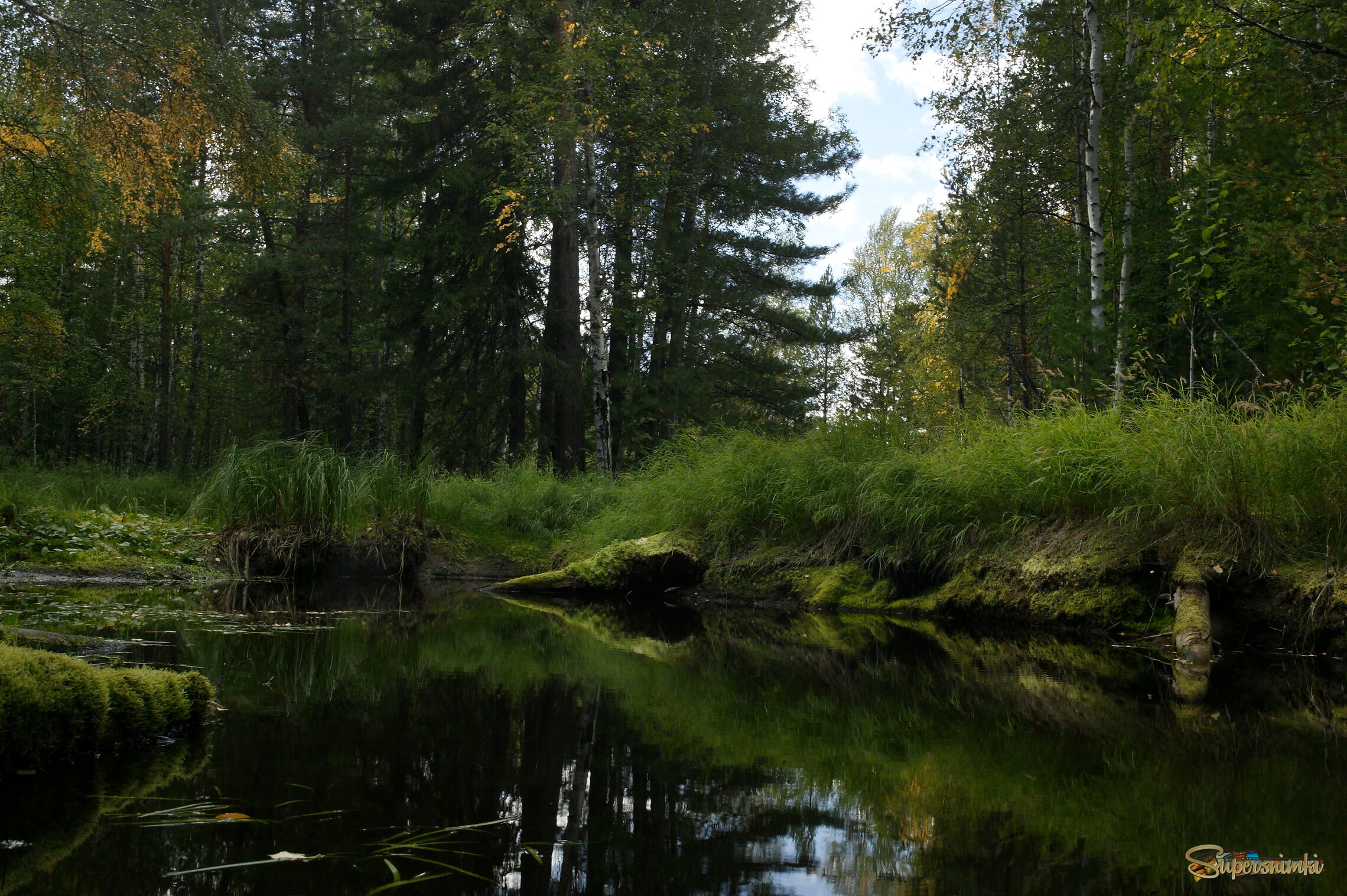 Большое Васюганское болото***