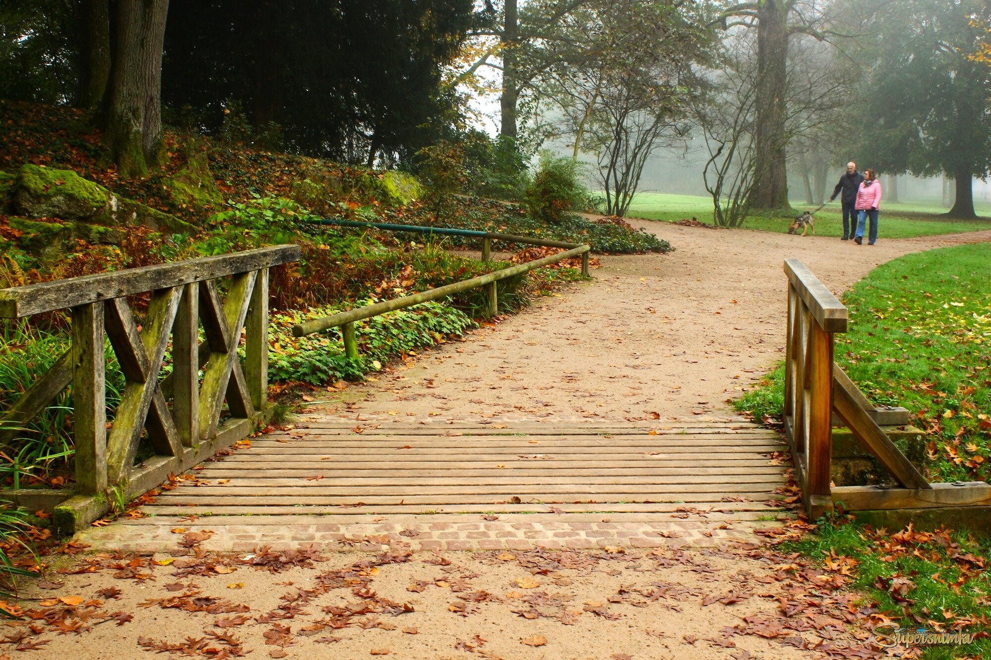 Осенняя прогулка