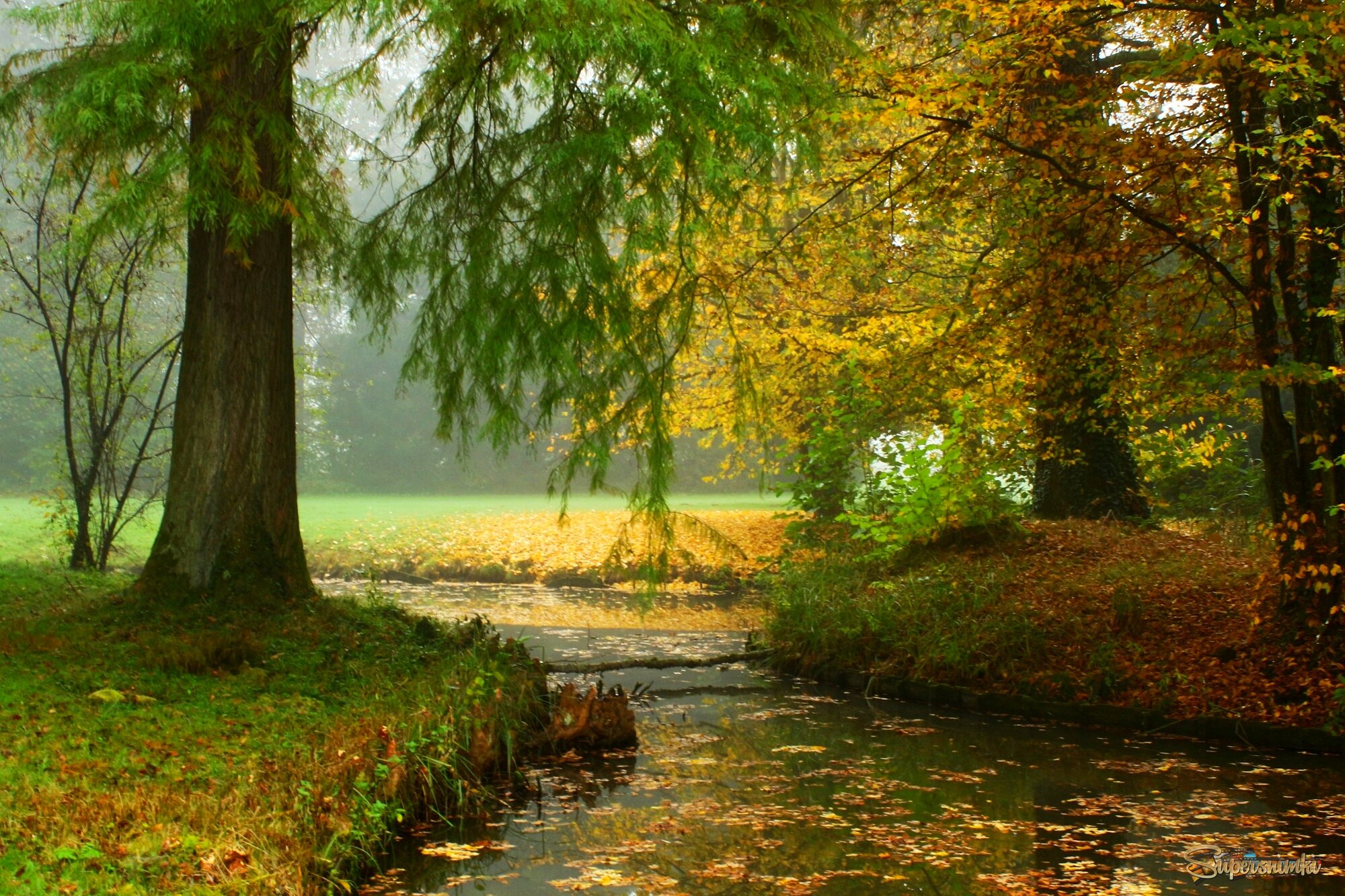 Краски осени