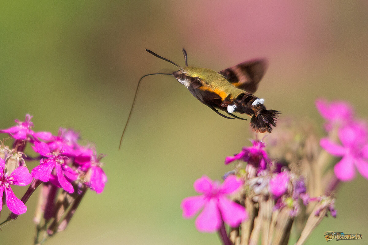 К дозаправке готов...