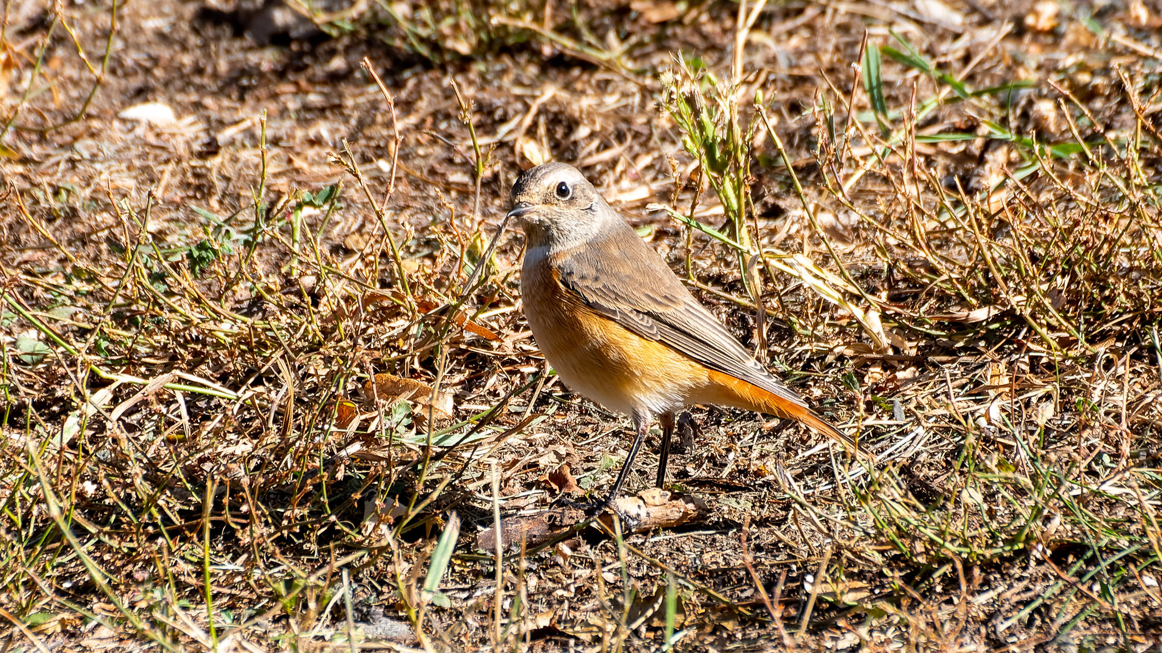 Перед отлетом 