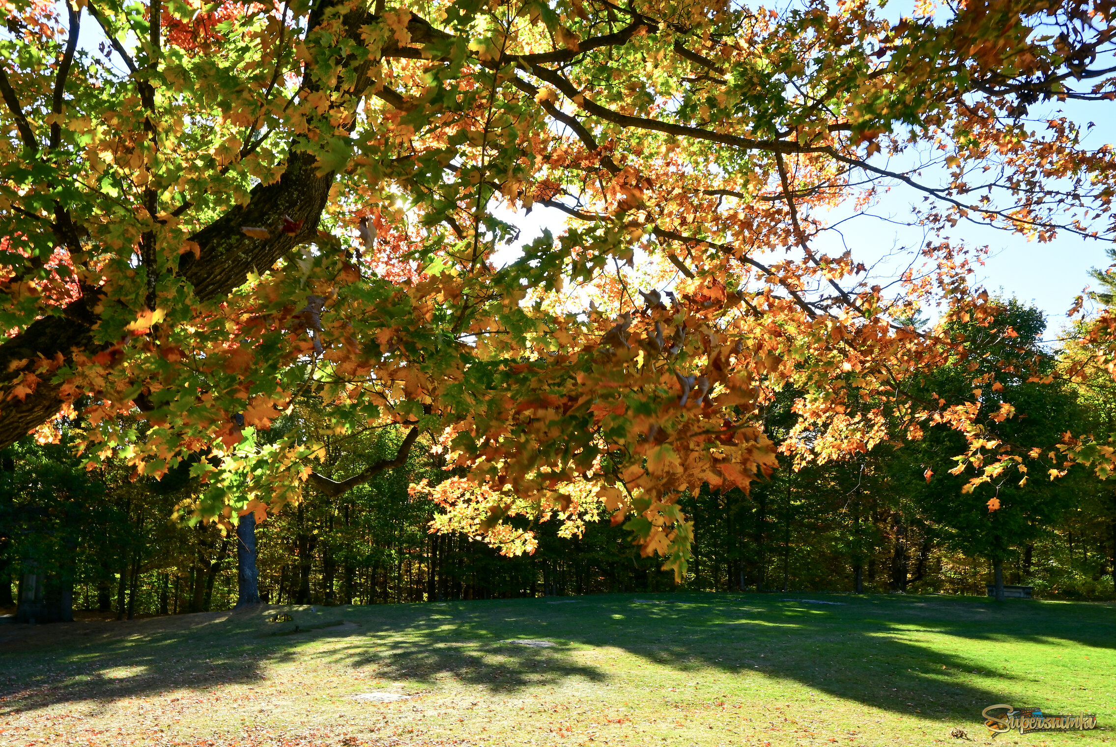 Есть такой сезон в году